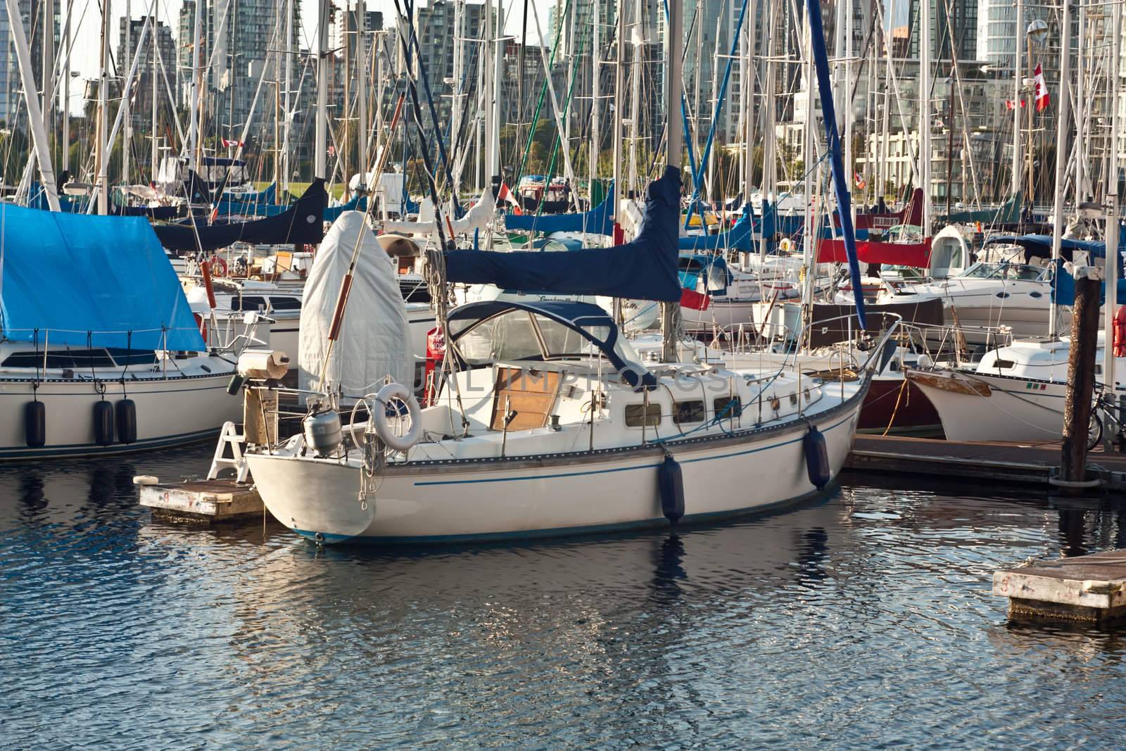 Yachts in the harbor in Vancouver in evening.