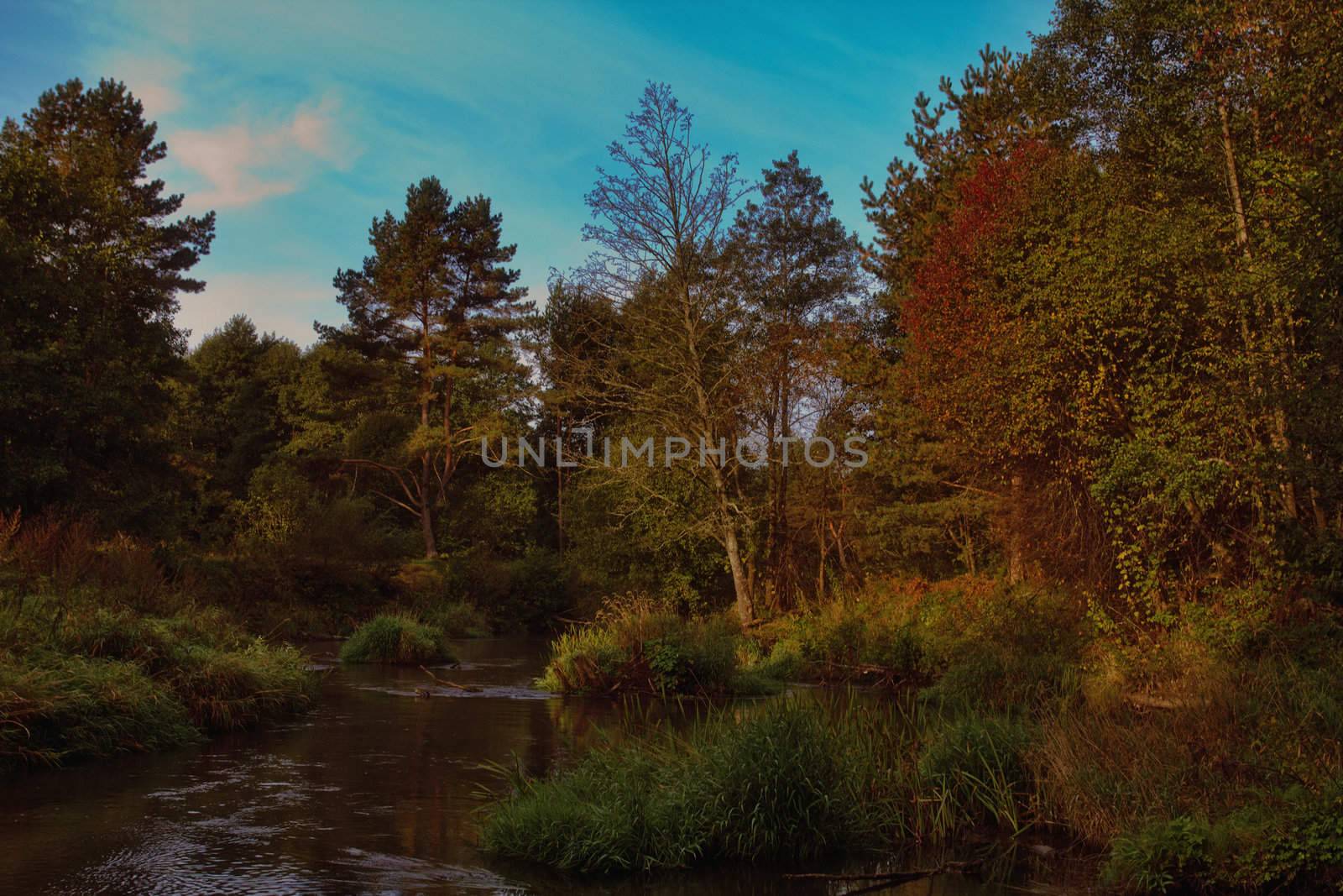 river in autumn forest by Alekcey