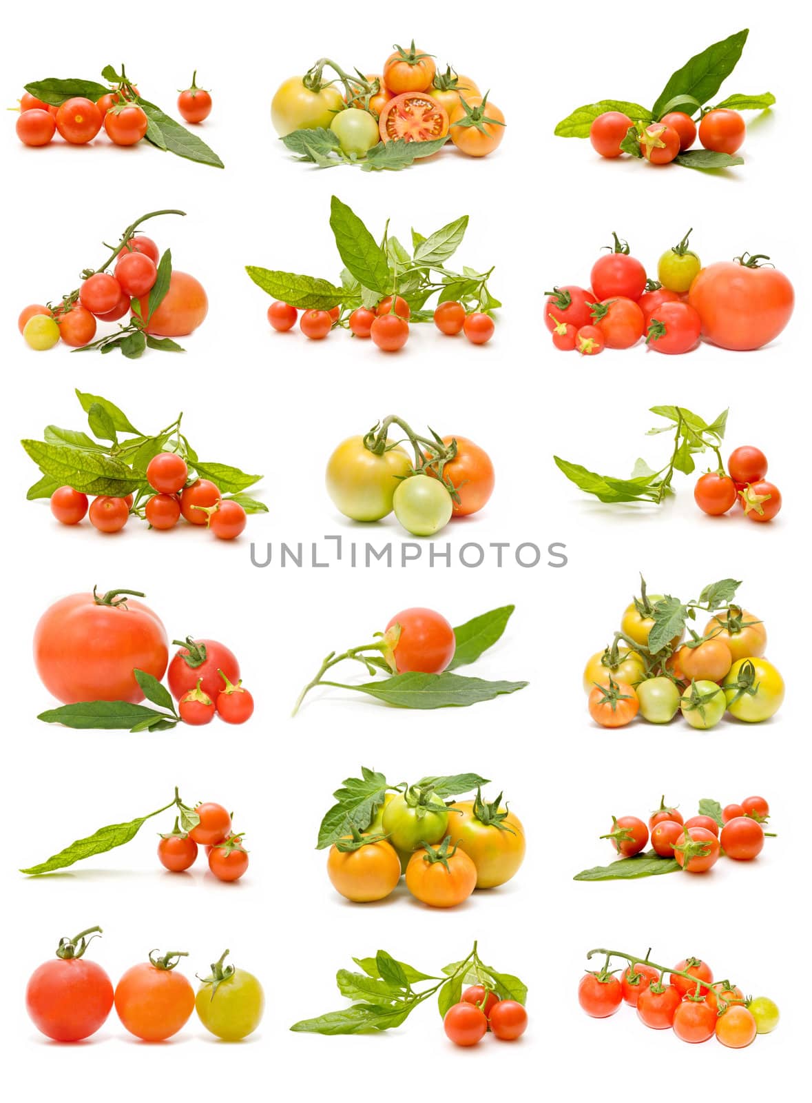 varied collection of tomatoes isolated on white background
