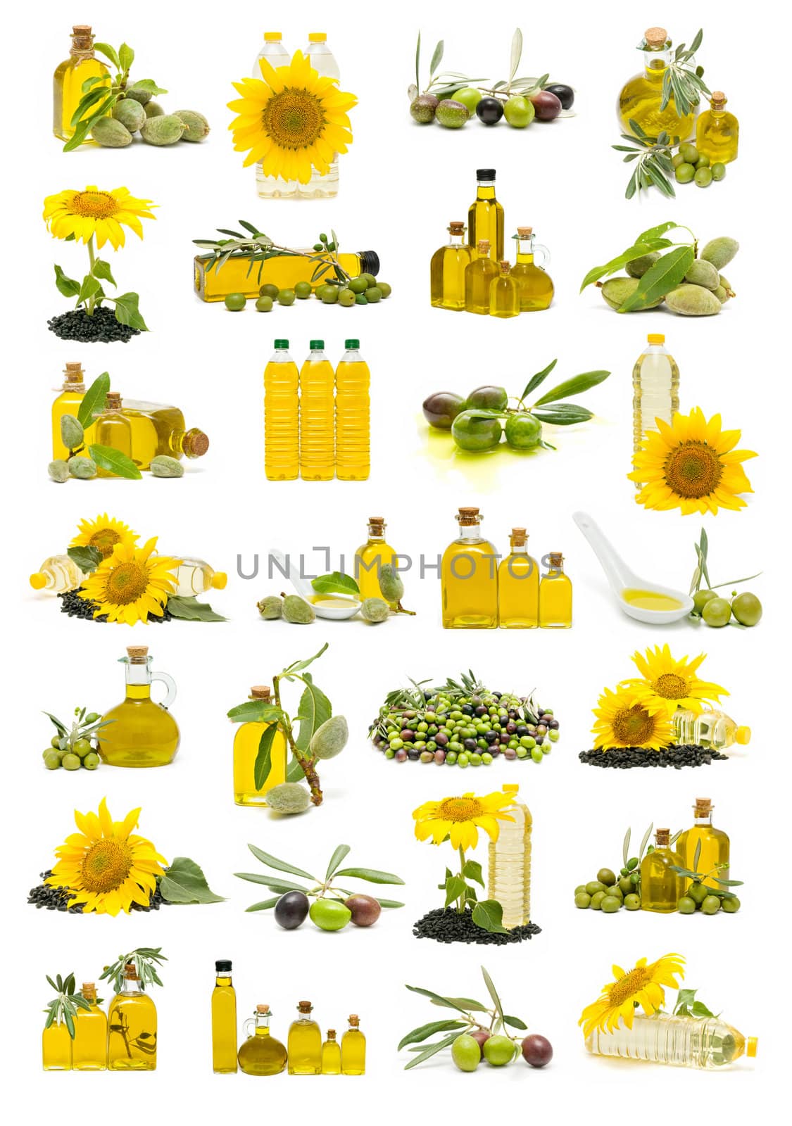 collection of olive oil and sunflower oil isolated on white background
