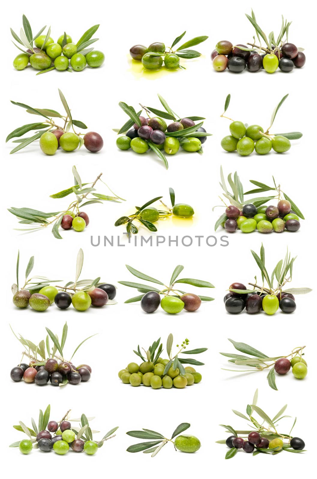 collection of fresh olives isolated on white background
