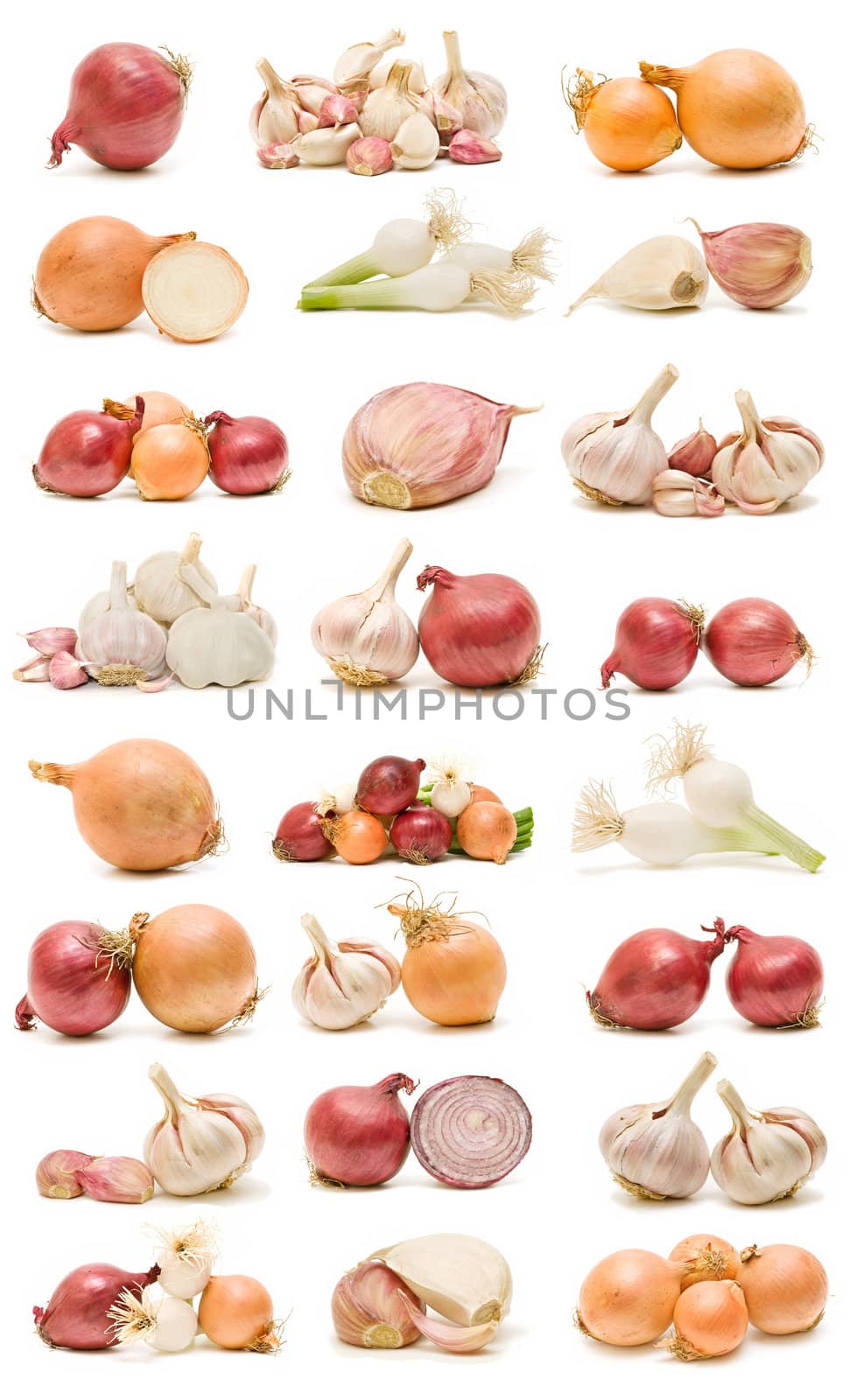 collection of ecological onions and garlic isolated on white background

 