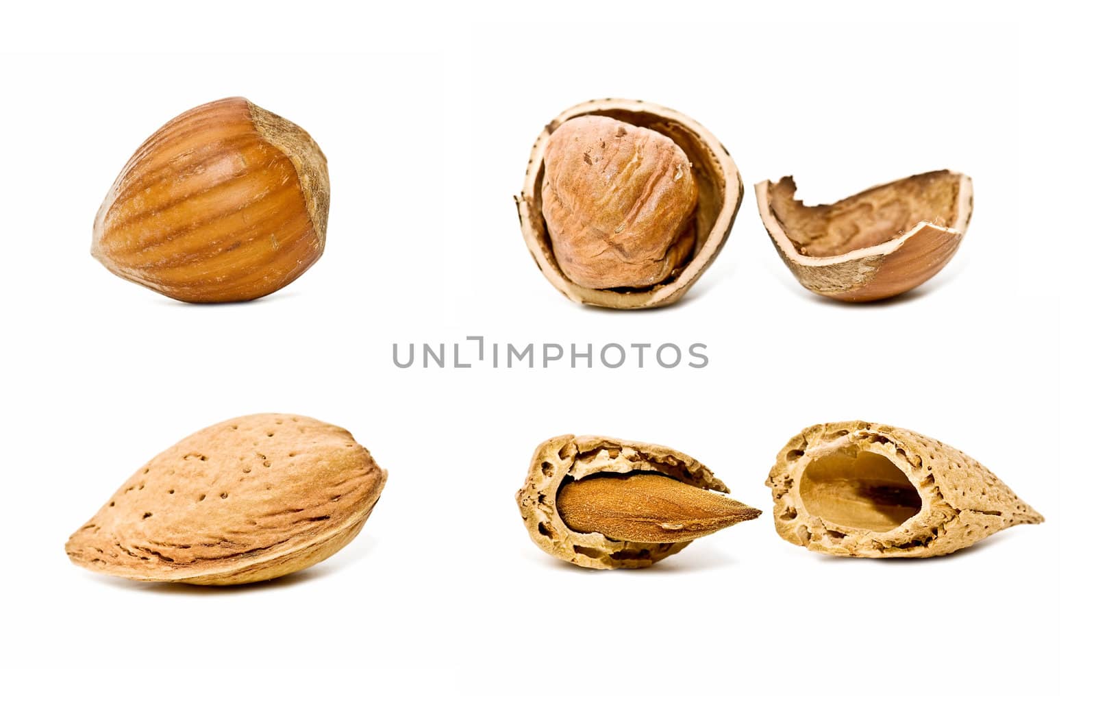 almonds and hazelnuts isolated on white background
