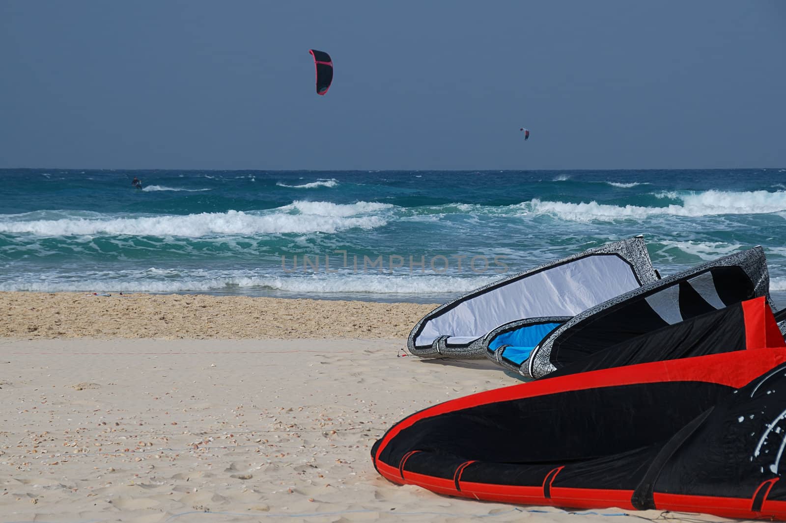 Beautiful beach with kites lying on sand at front and flying at blue sky background