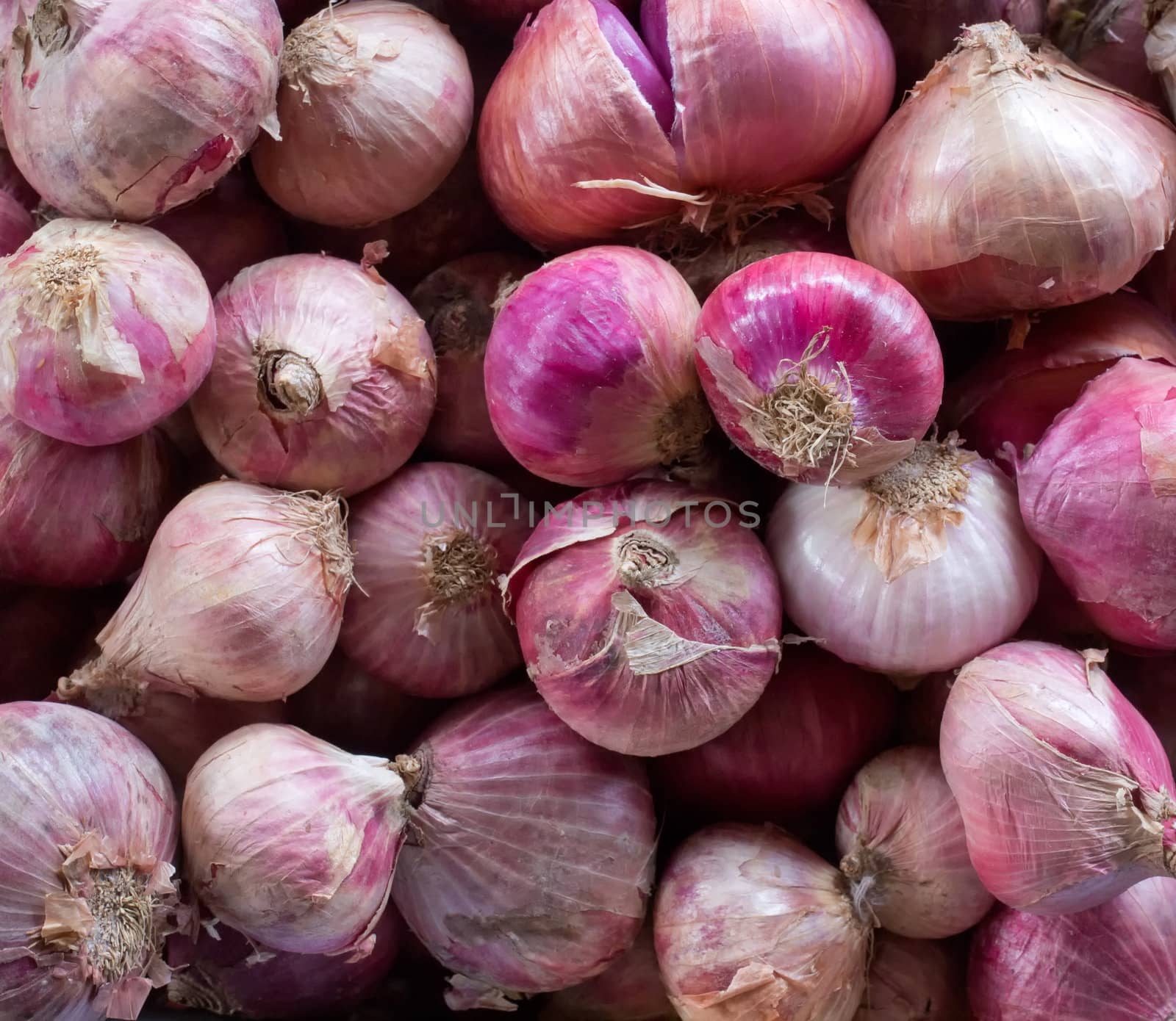 close up of a heap of red onions