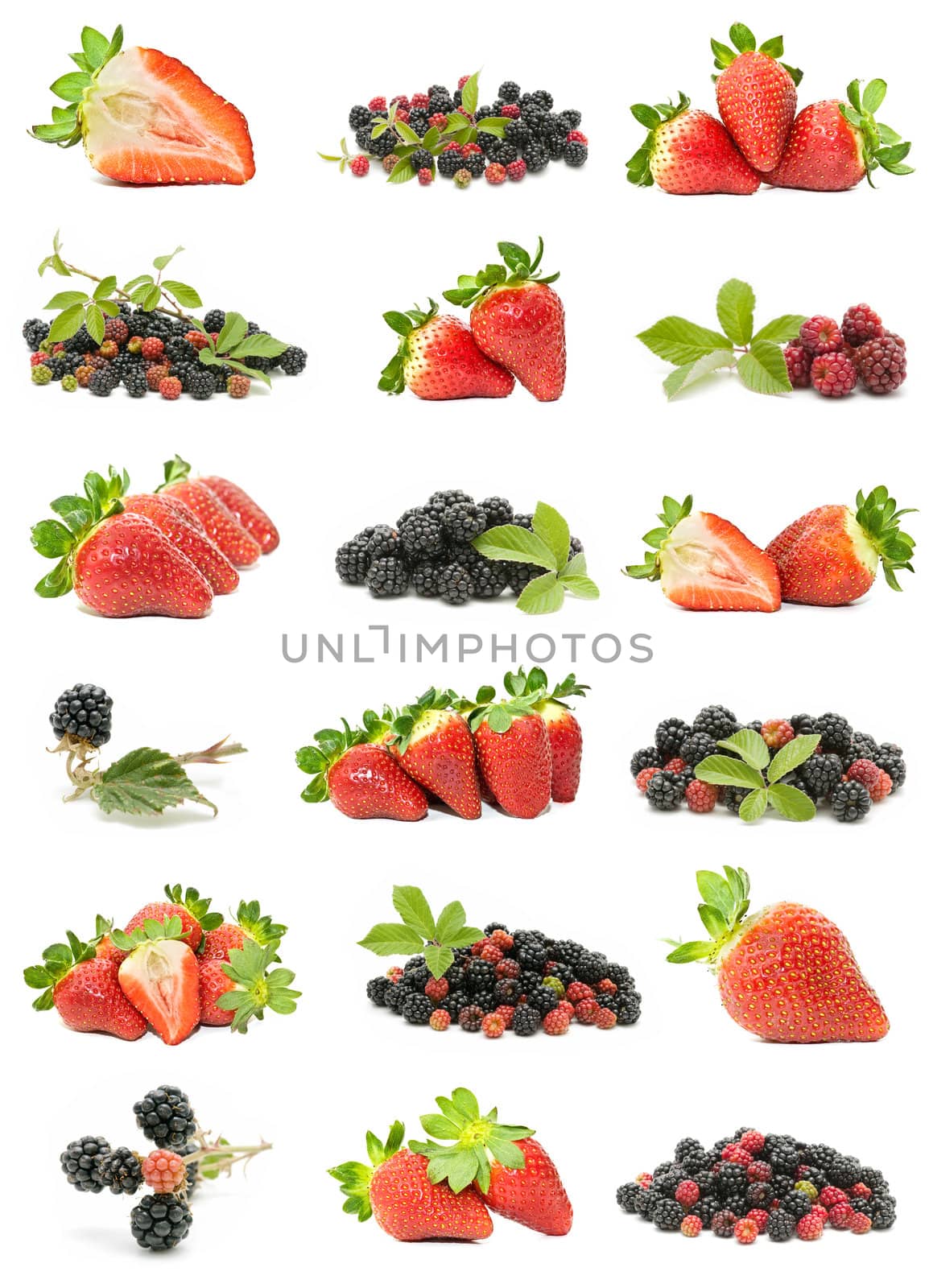 wild fruit collection isolated on white background
