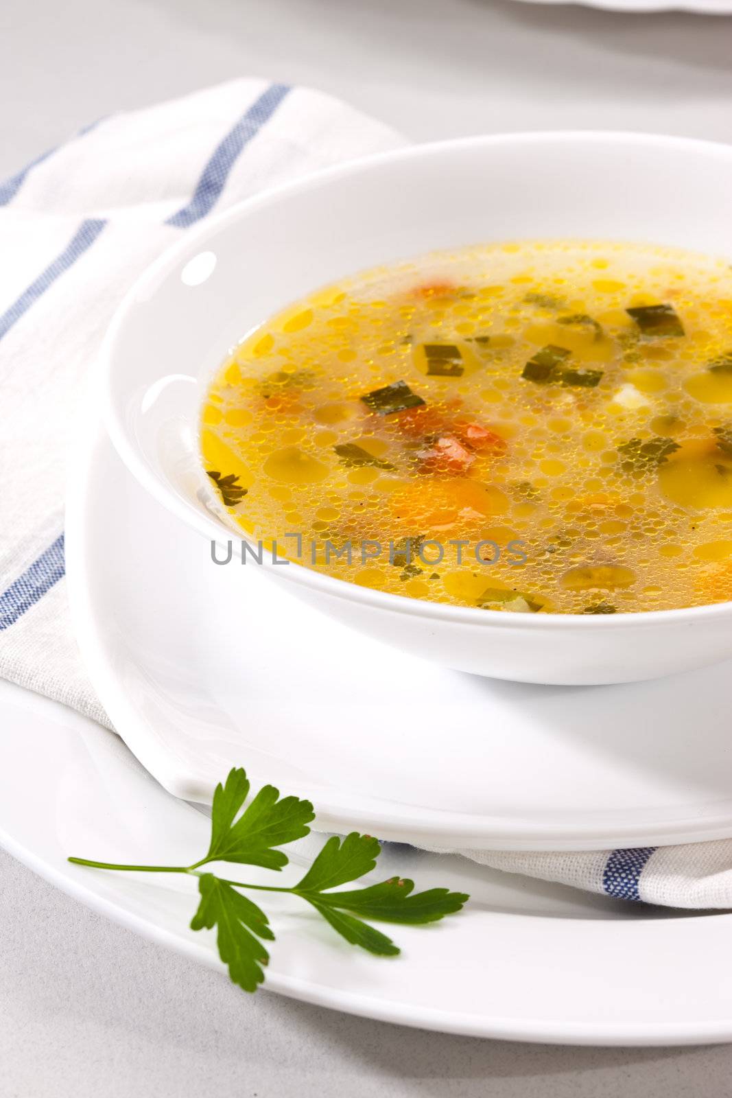 food series: fresh and tasty vegetable soup in the plate