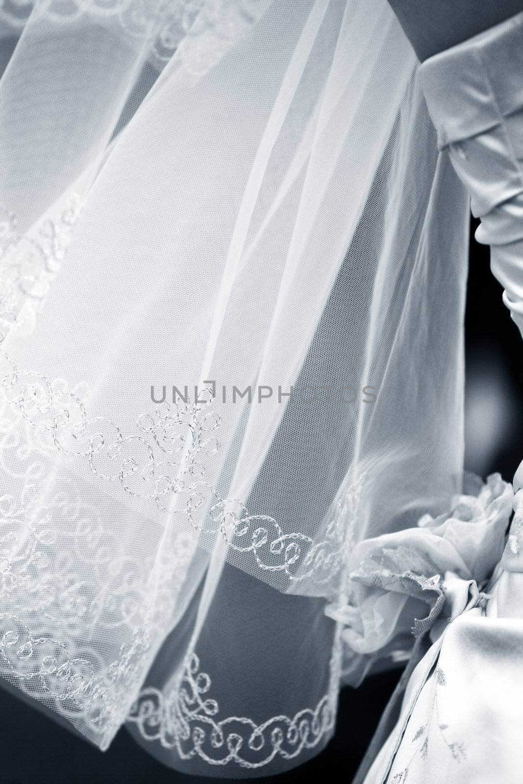 Wedding veil and part of a wedding dress