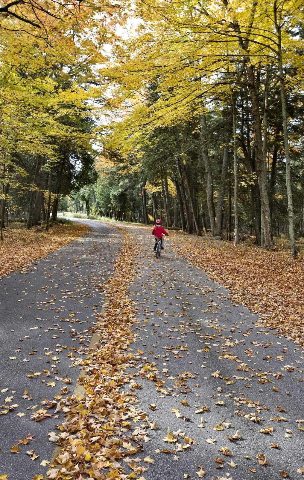 Autumn Leaves on road northern Michigan child on bicycle bike