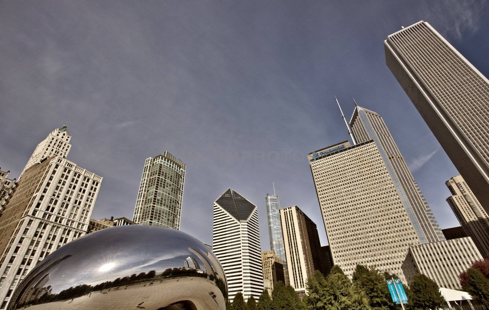 Chicago Cityscape The Bean by pictureguy