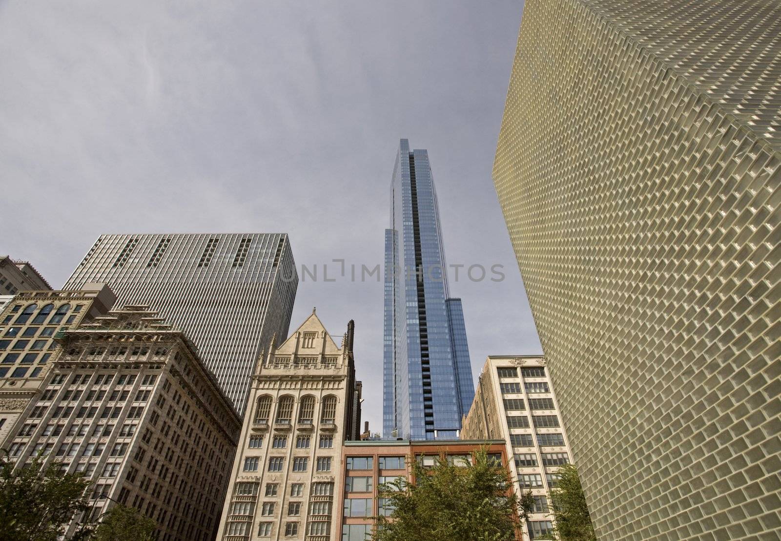 Chicago Cityscape downtown Millenium Park Michigan Avenue