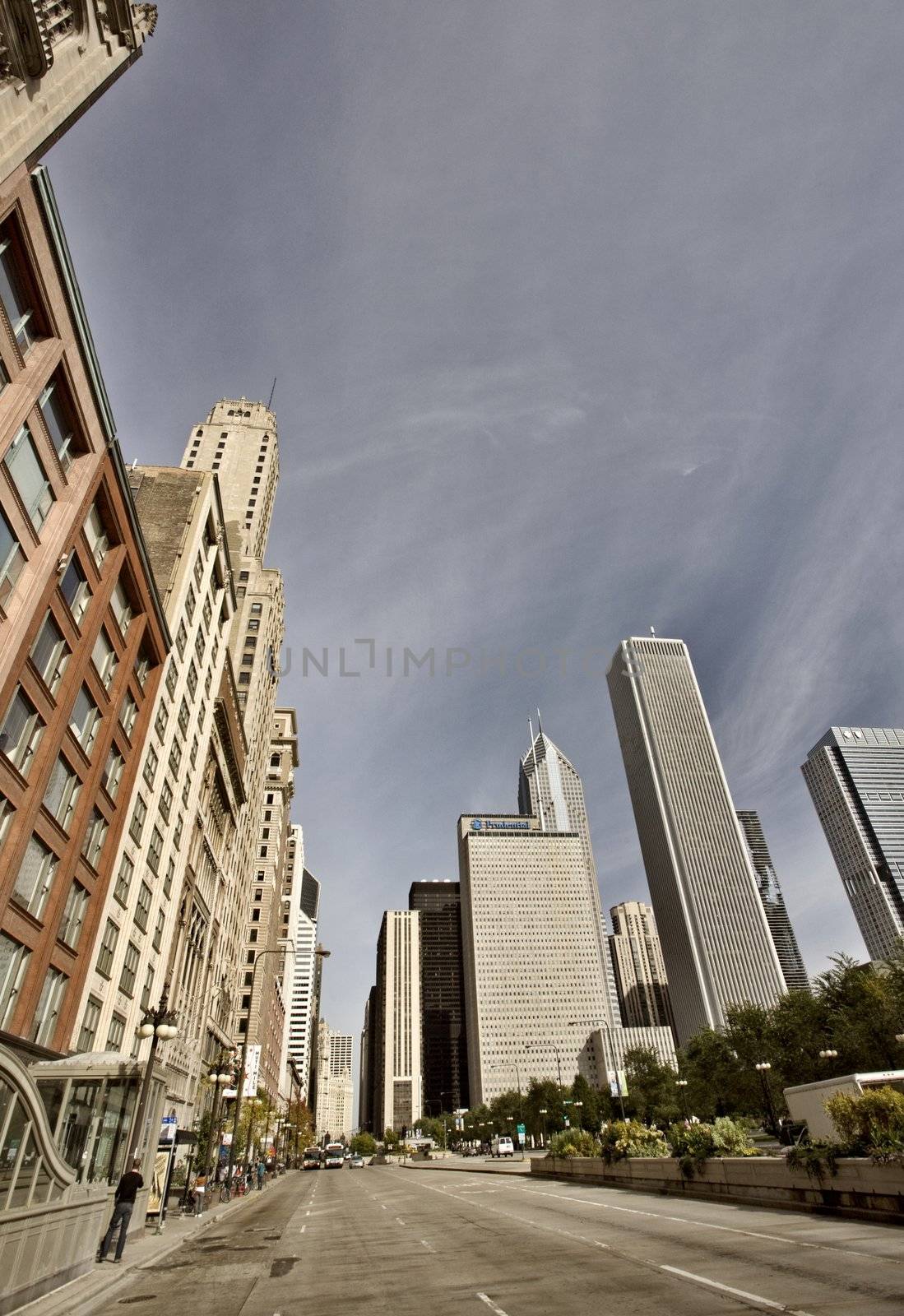 Chicago Cityscape by pictureguy