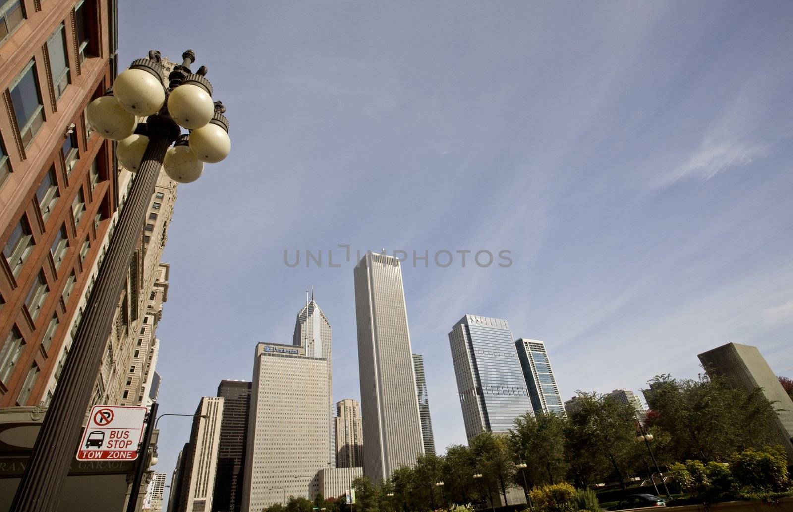 Chicago Cityscape by pictureguy