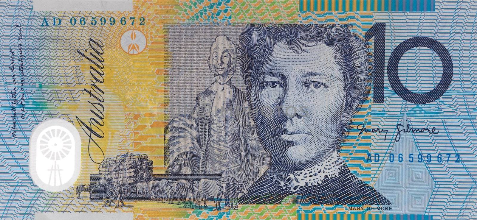 Australian Ten Dollar Note by Kitch