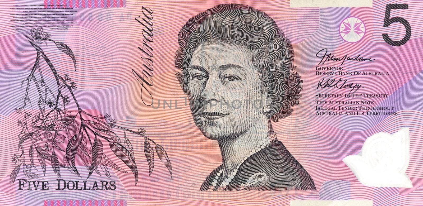 Australian Five Dollar Note by Kitch