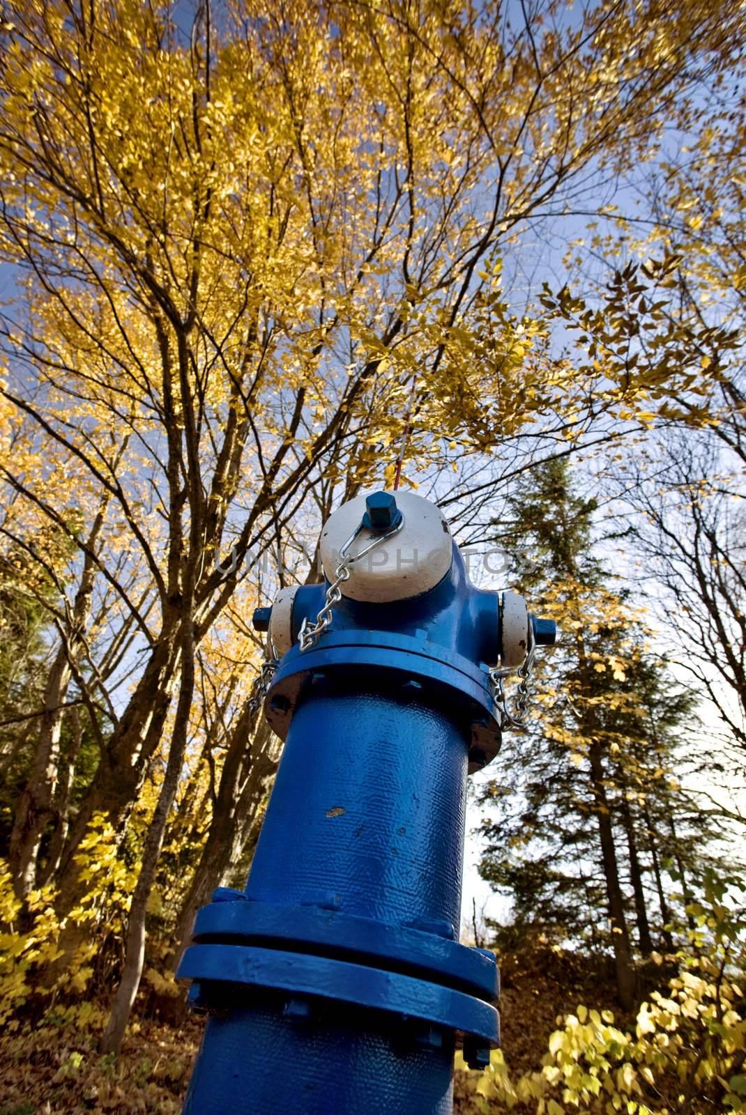 Fire Hydrant Blue by pictureguy