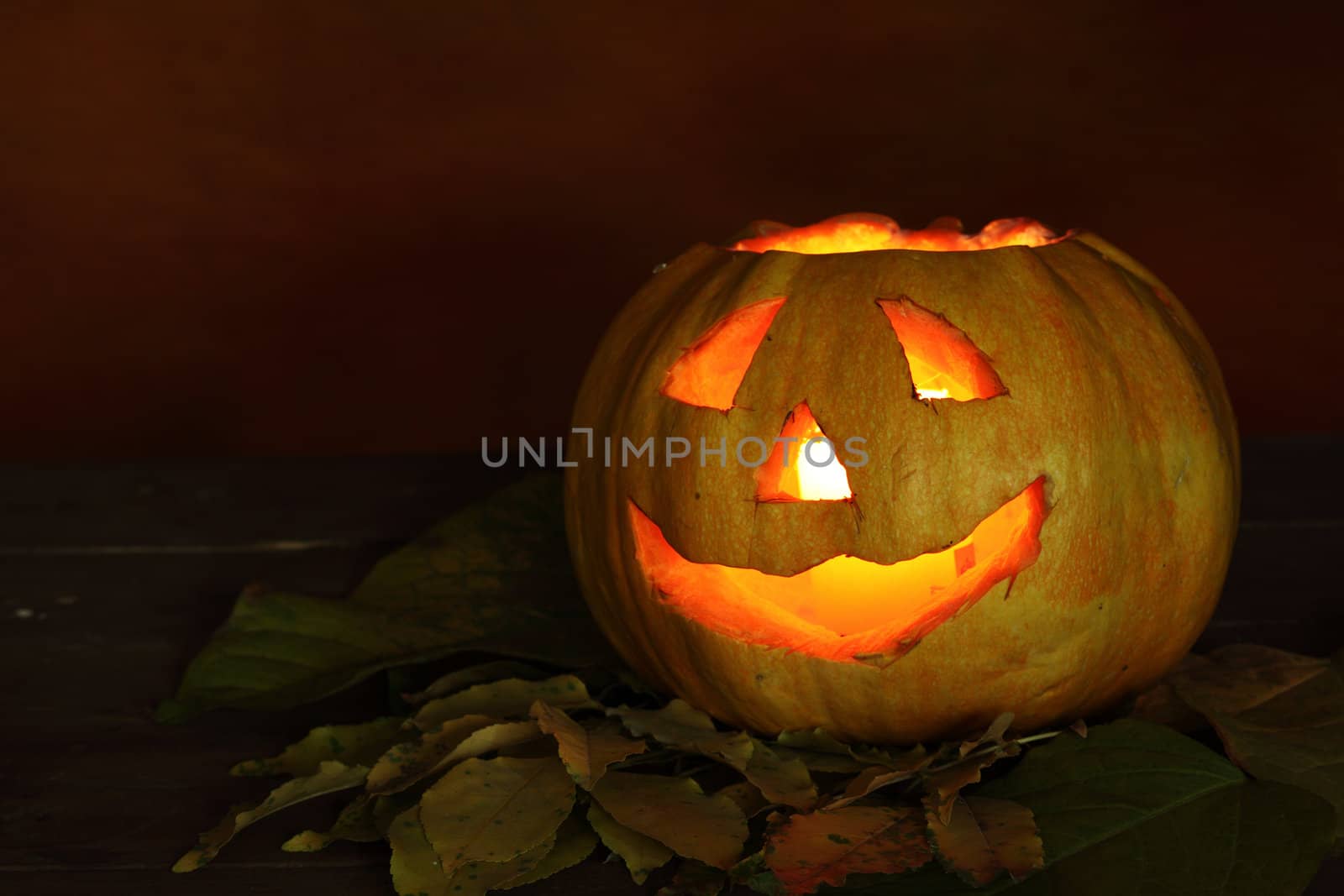 Pumpkin face for halloween close up