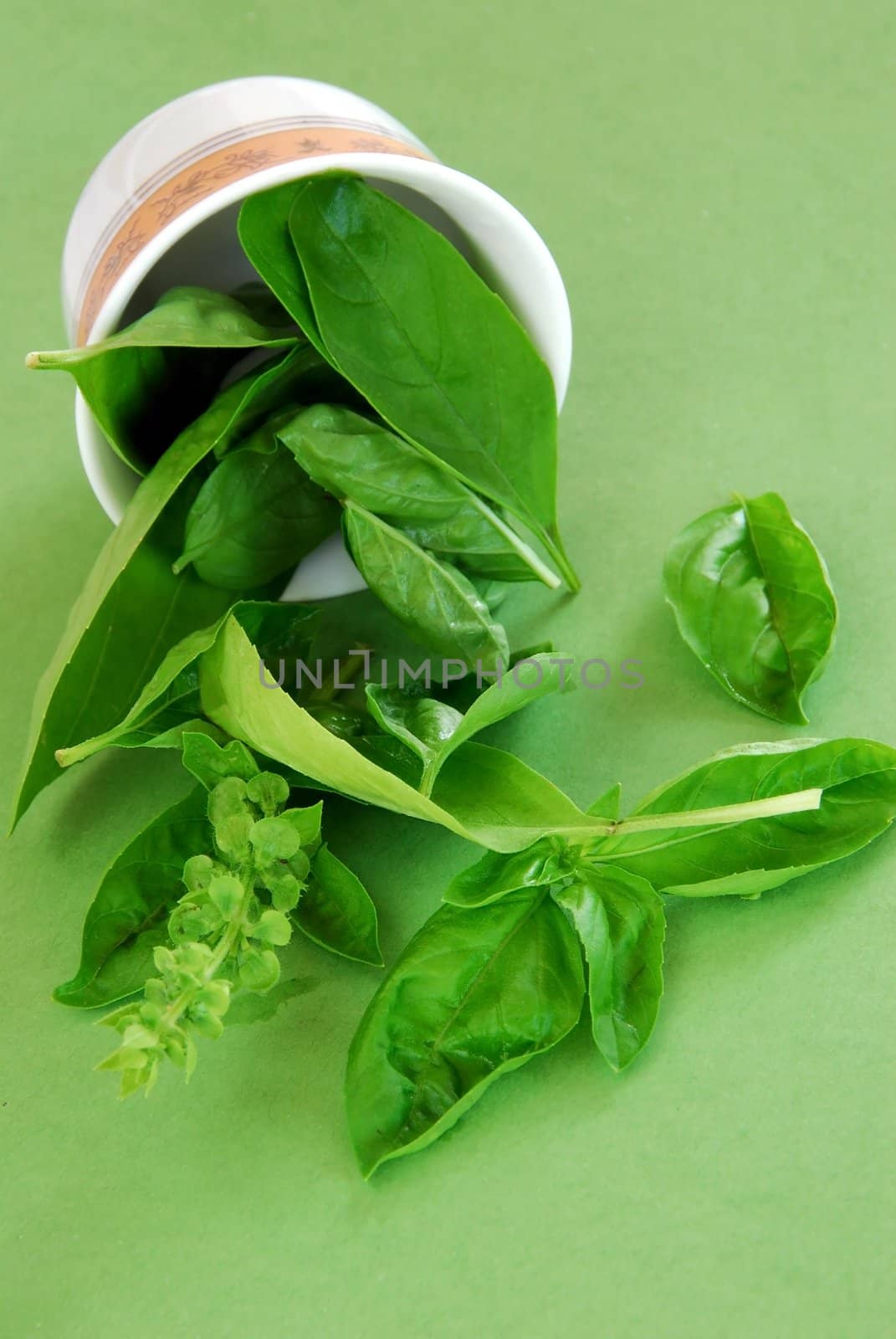 fresh basil leaves scattered from a bowl over green background