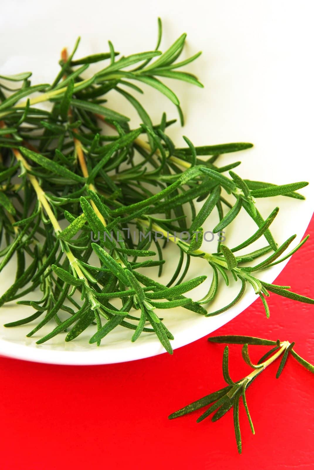 fresh rosemary green sprigs in white bowl