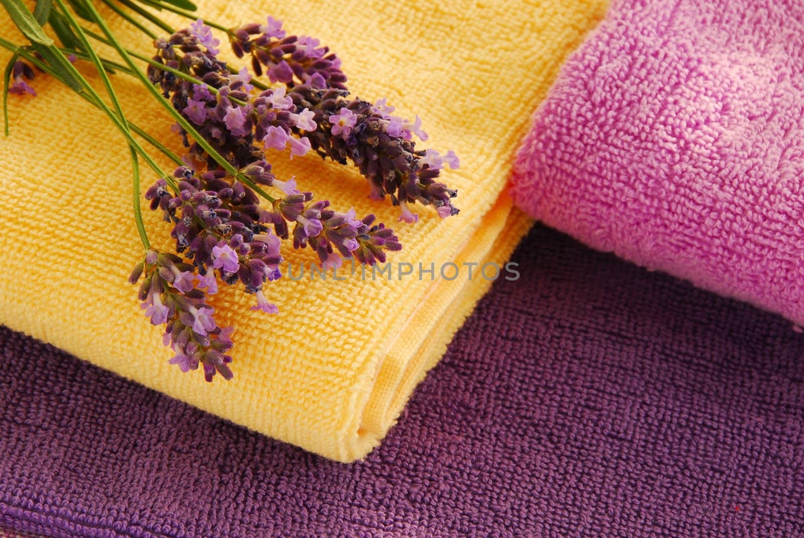 magenta, purple and yellow towels with lavender flowers