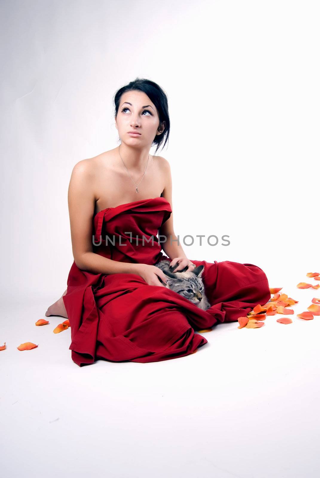 young beautiful brunette taking care of the cat