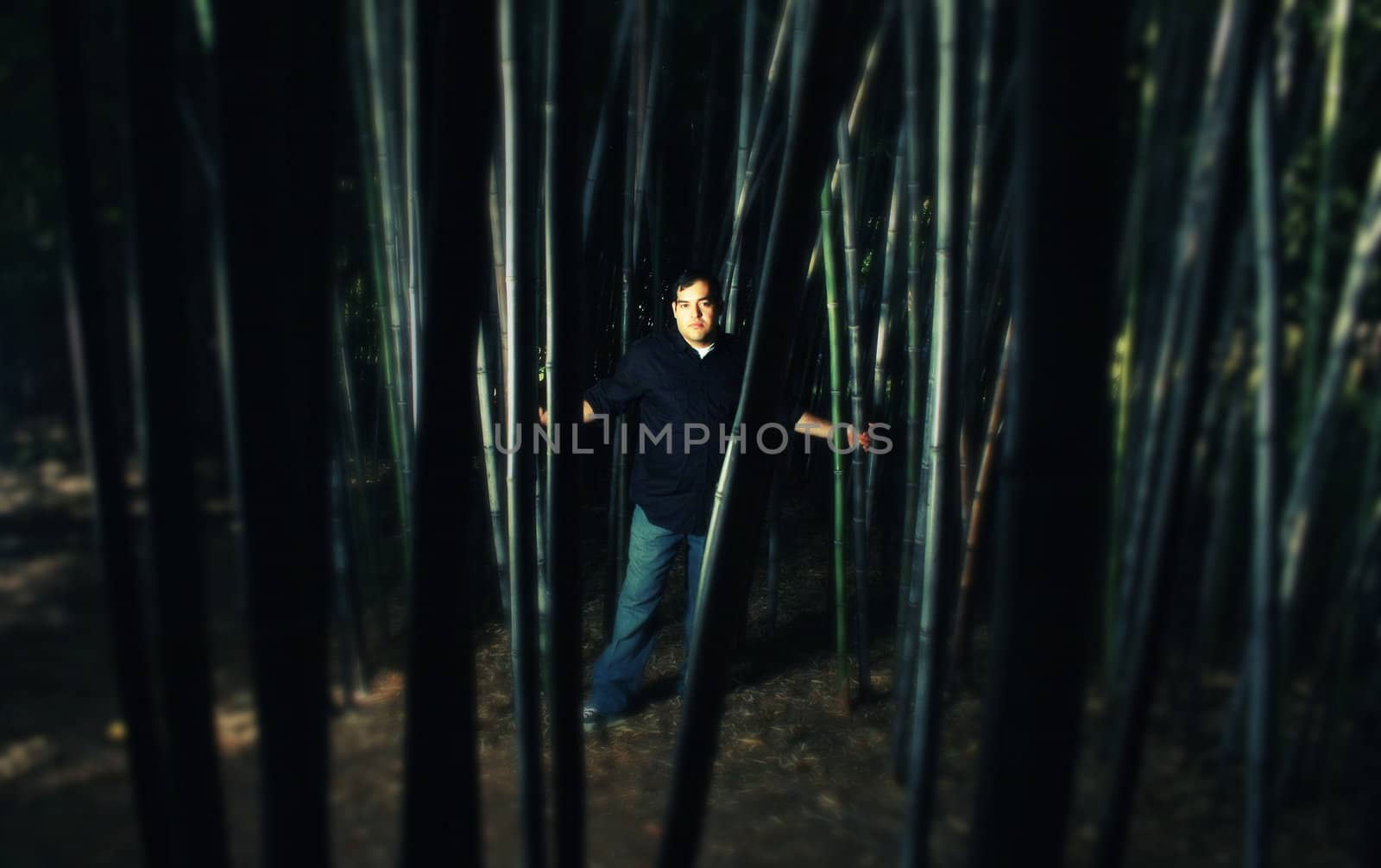 A cross process photo of a man standing in a bamboo forest