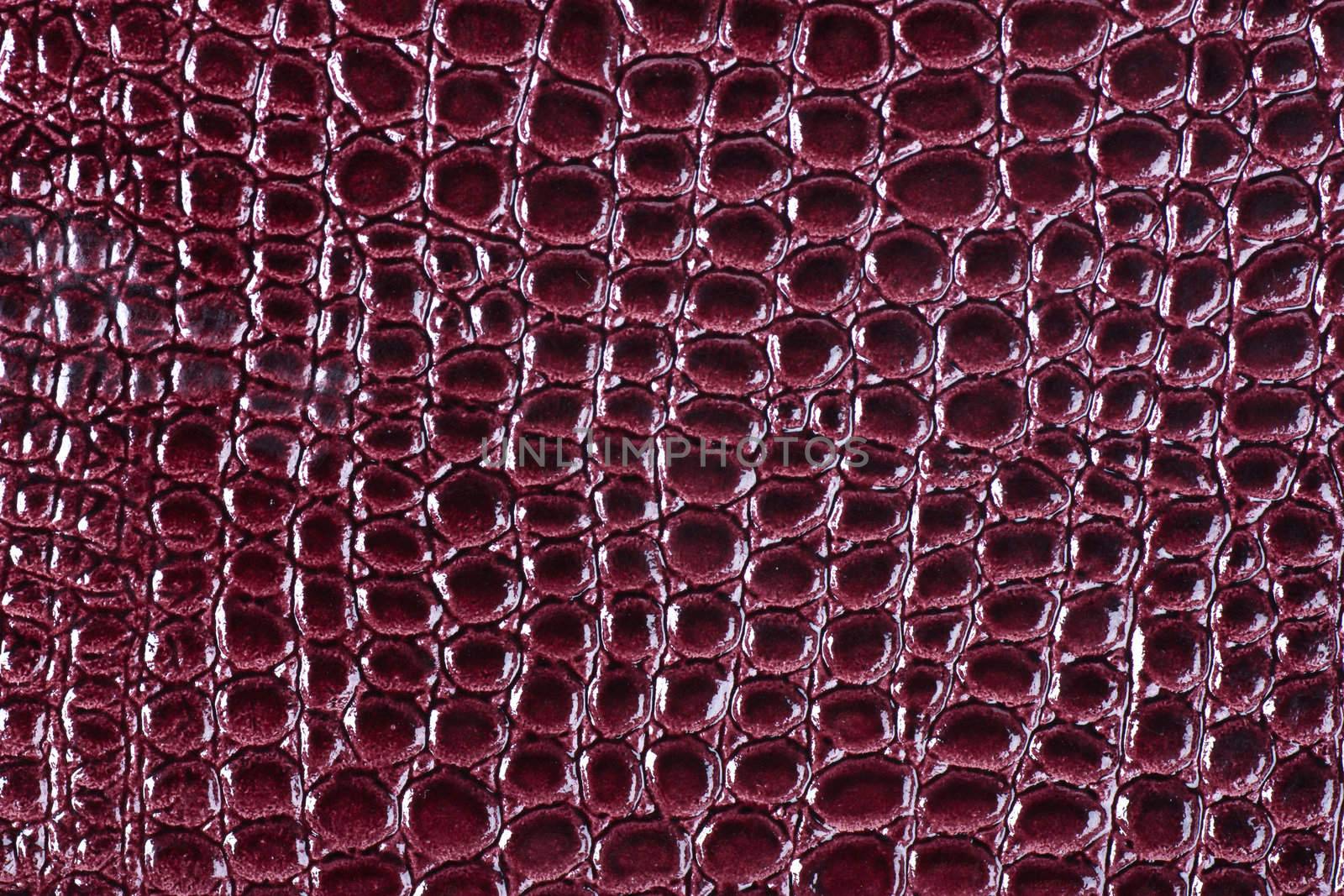 Closeup view of curried red crocodile leather