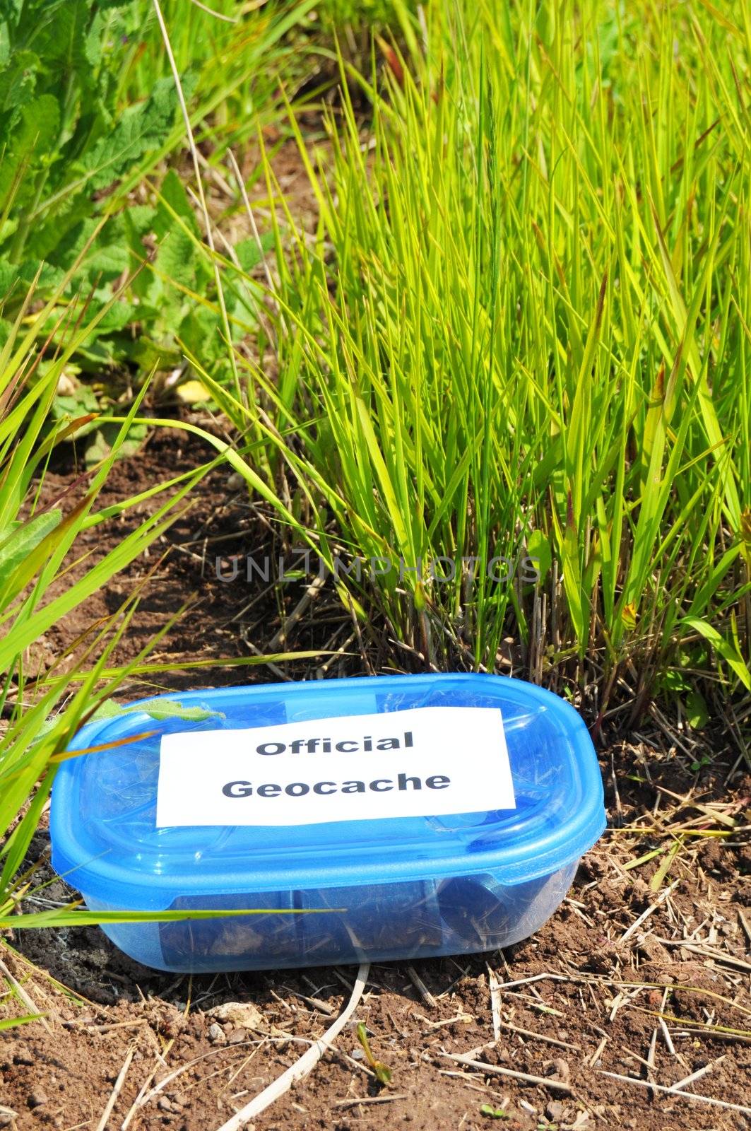 geocaching concept with blue geocache box showing outdoor sports concept