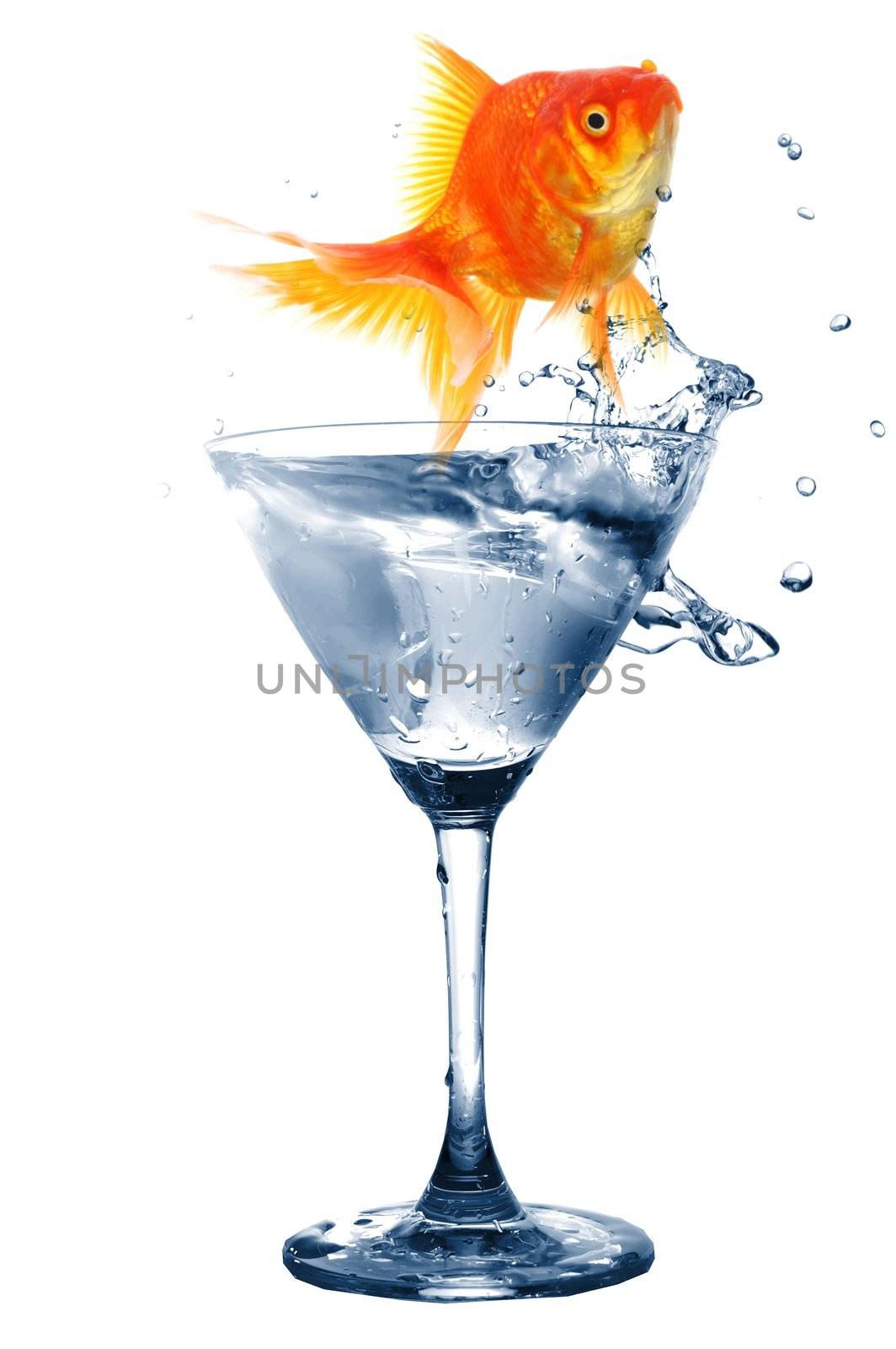 goldfish in glass of water showing challenge or creativity concept