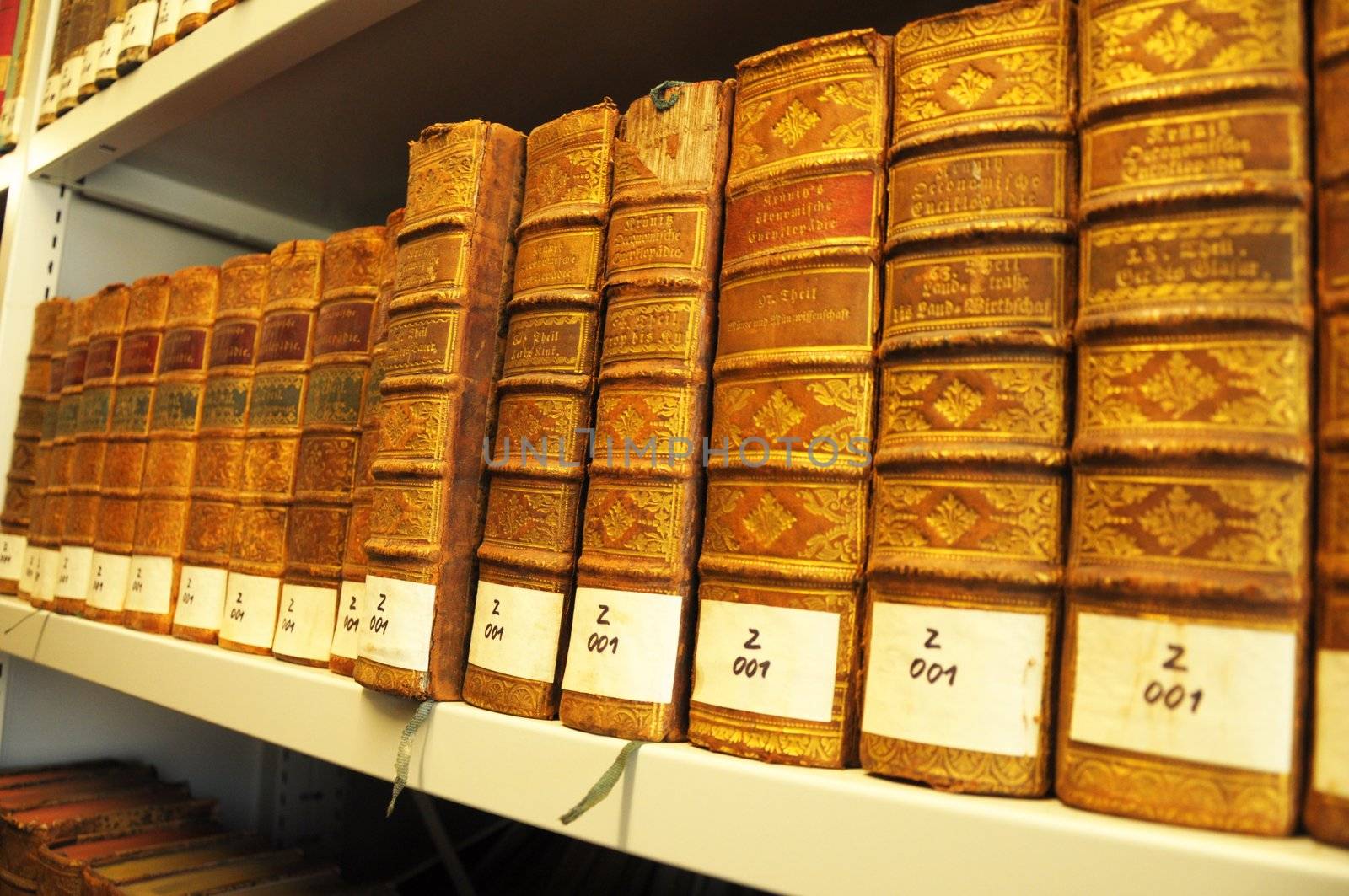 books in a library bookshelf for university education