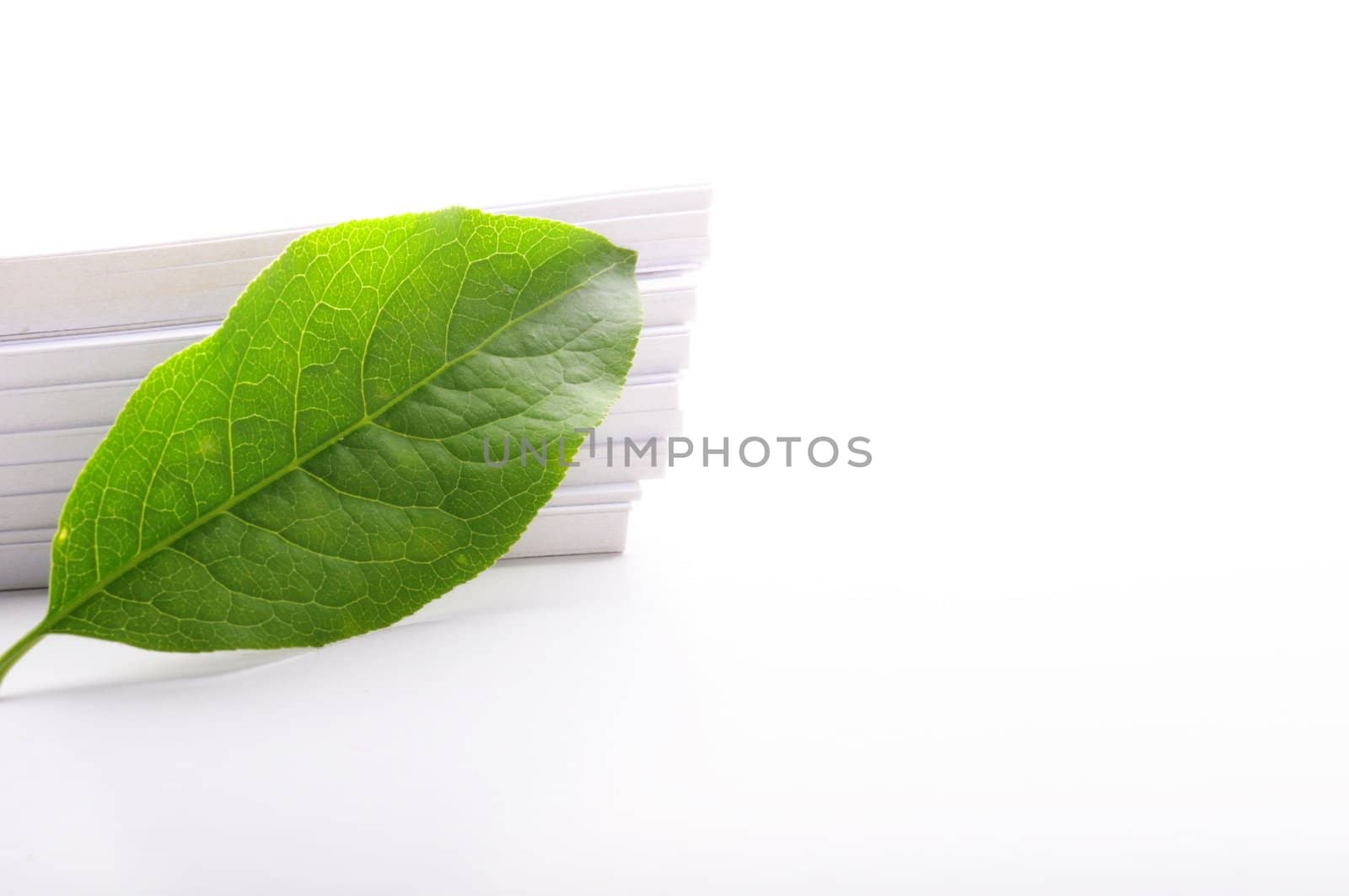 blank paper card with copyspace and green nature