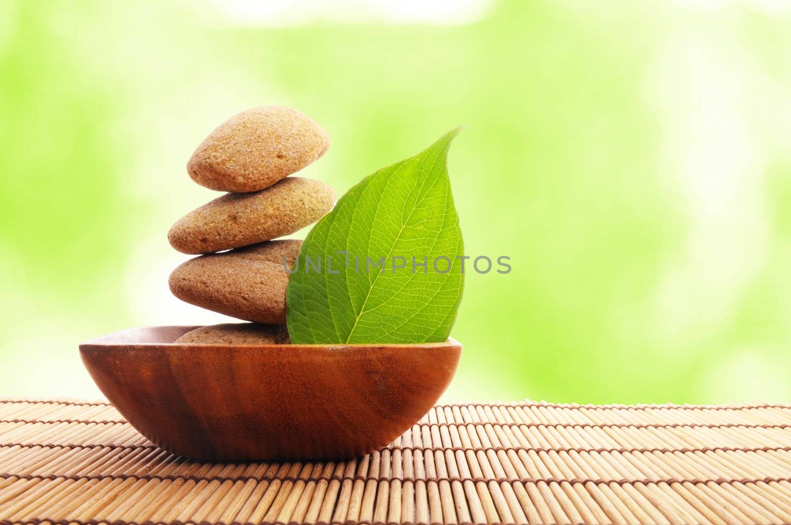 spa still life with zen stone and green leaf
