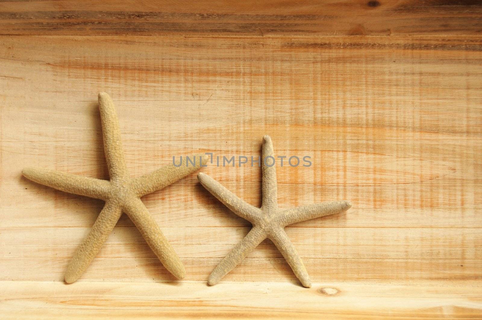 vacation concept with star fish or shellfish and copyspace on wood texture