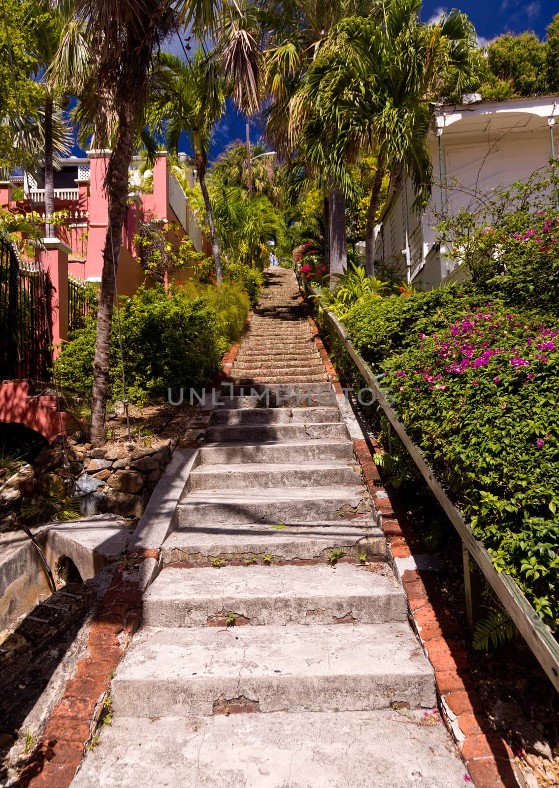 Steep 99 steps in St Thomas by steheap