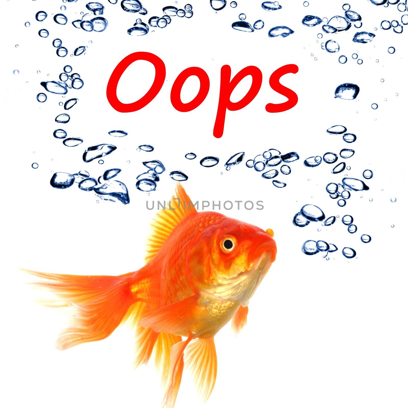 oops word and goldfish showing accident failure or danger danger warning concept