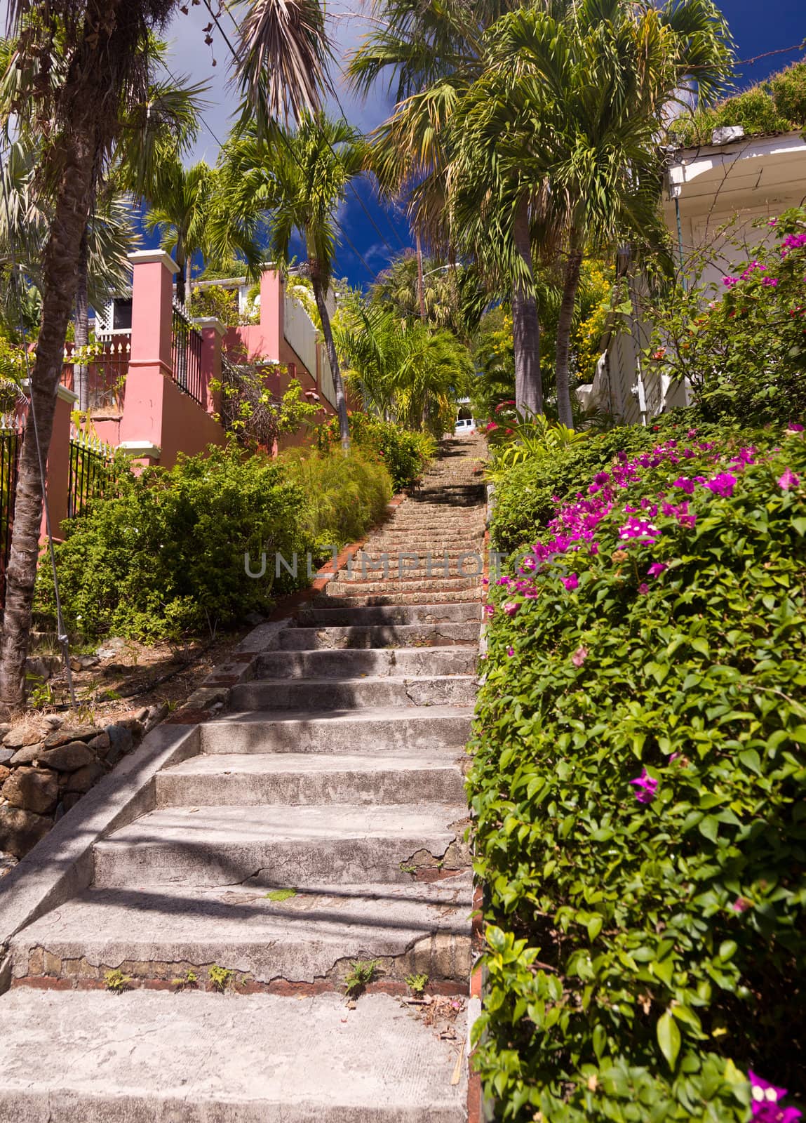 Steep 99 steps in St Thomas by steheap