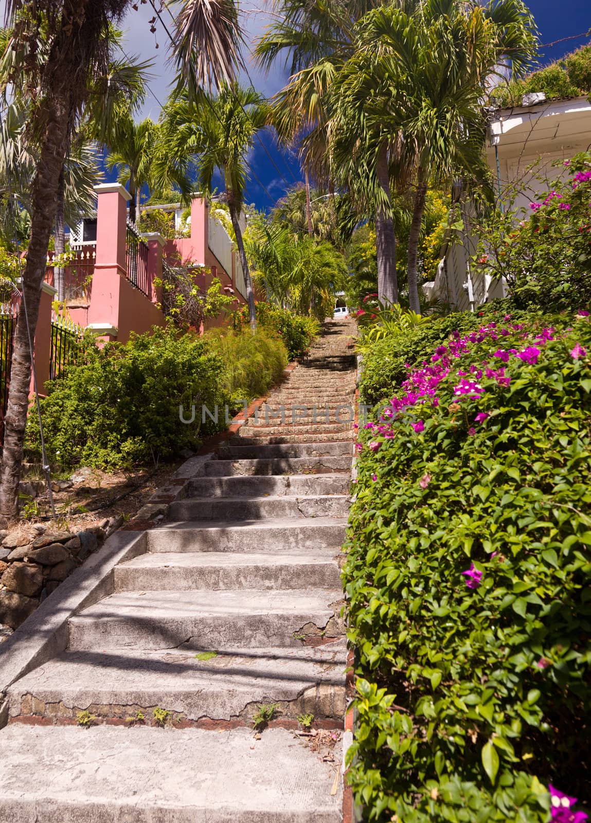 Steps up the steep hill town of Charlotte Amalie in St Thomas