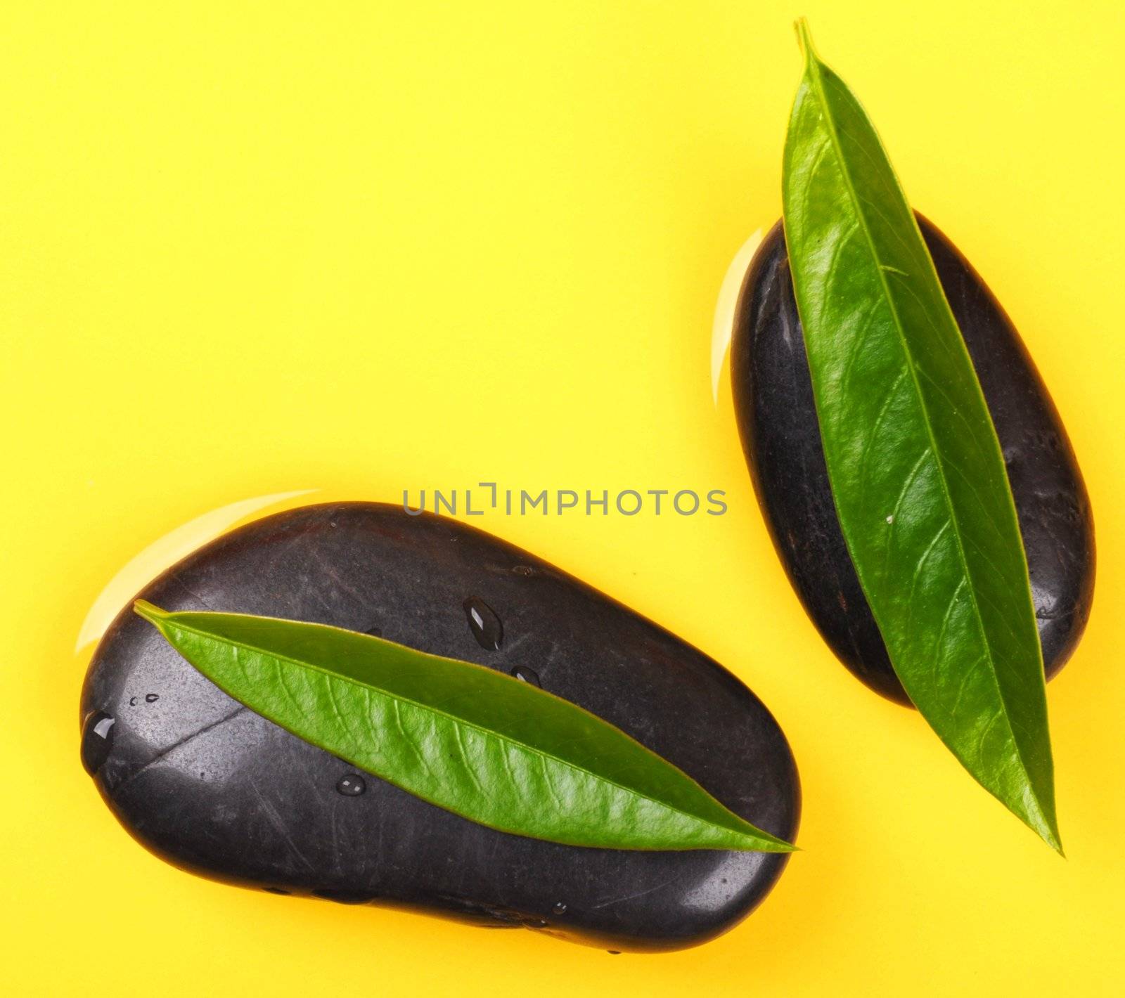 zen stone leaf and yellow copyspace showing spa concept