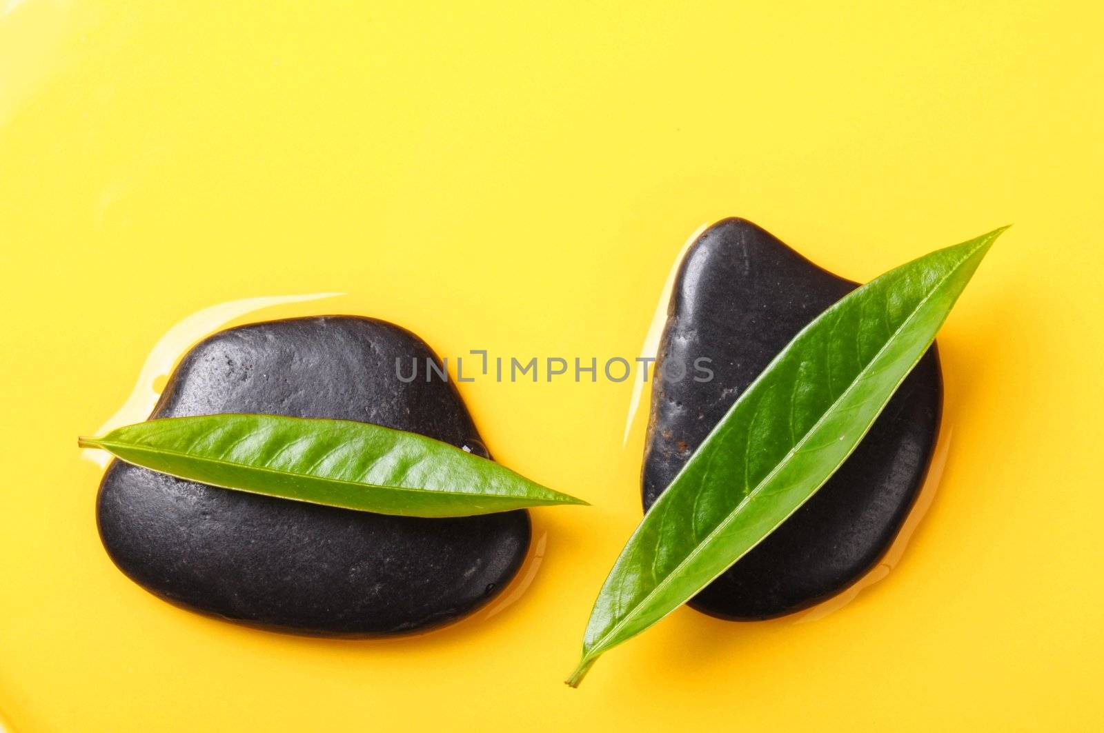 spa or zen still life with stone leaf and copyspace