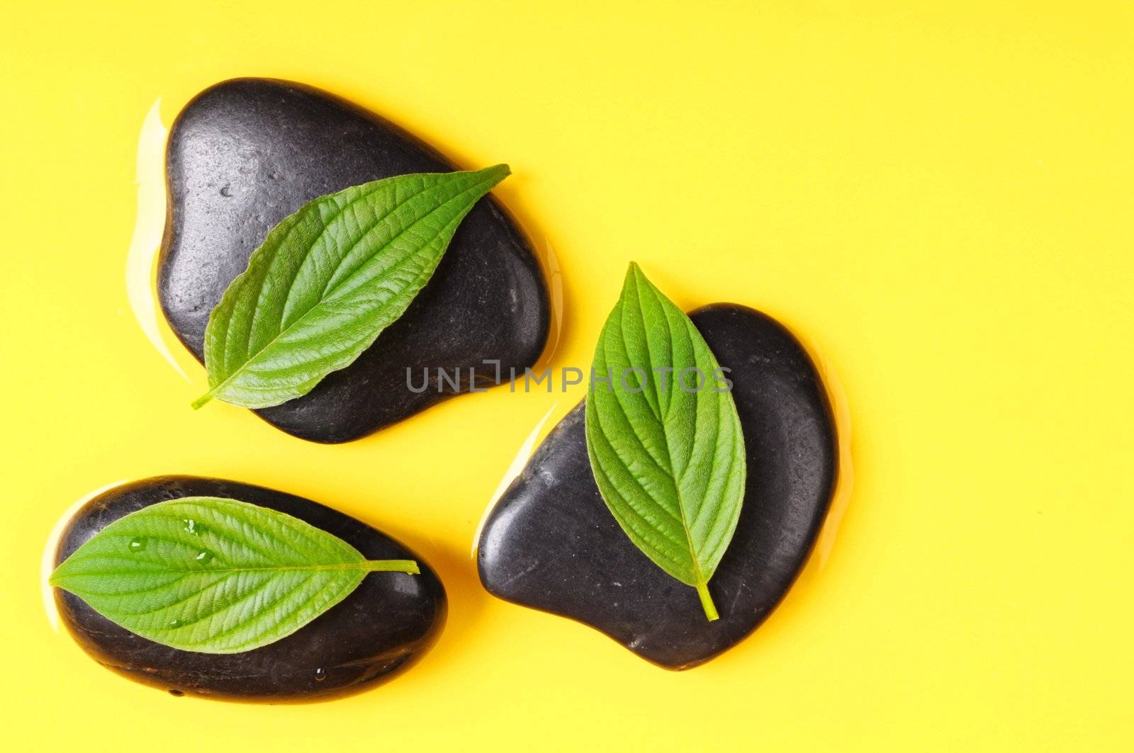 spa concept with yellow copyspace stone and green summer leaf