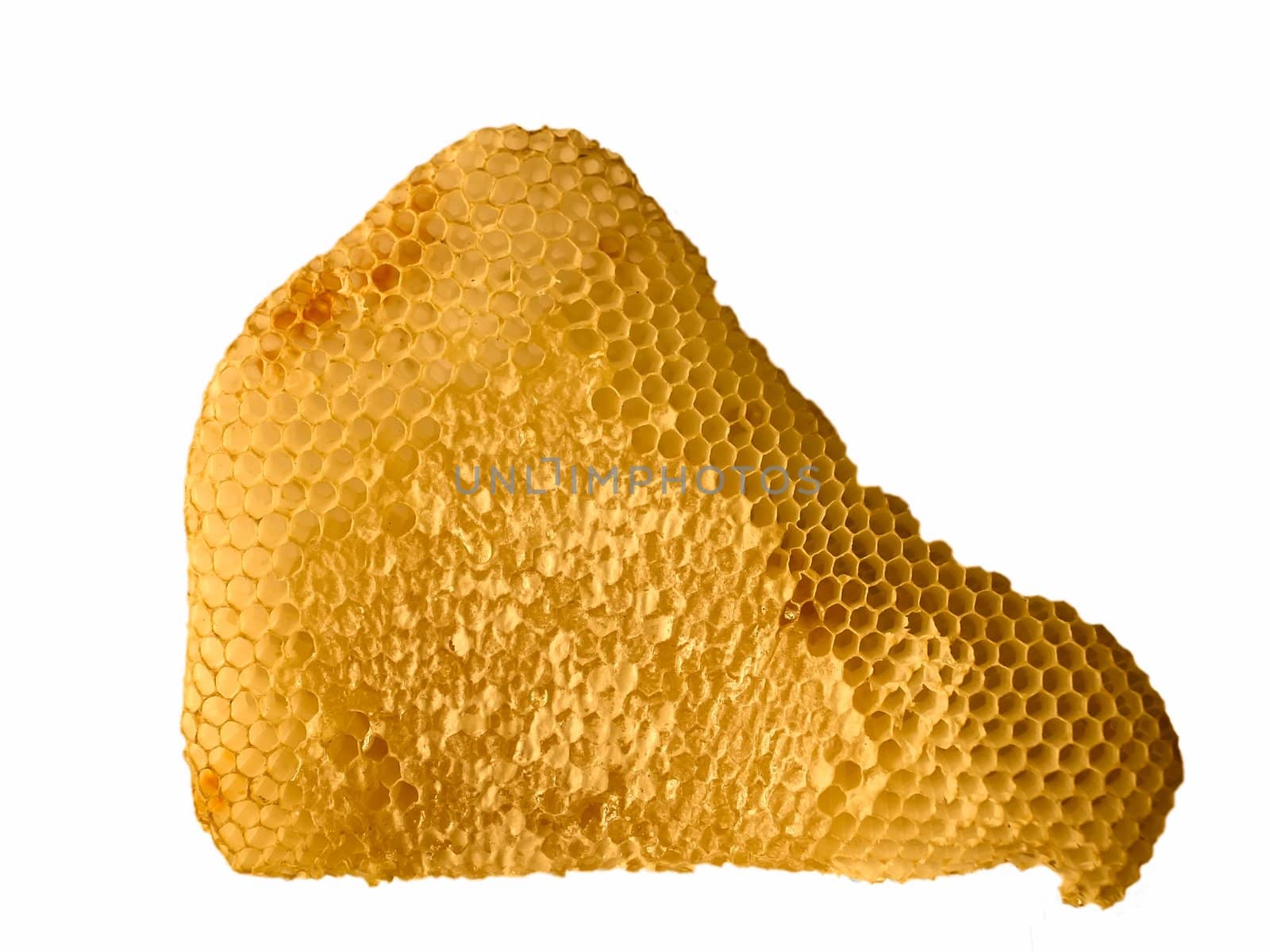 Honeycomb with honey isolated on a white background