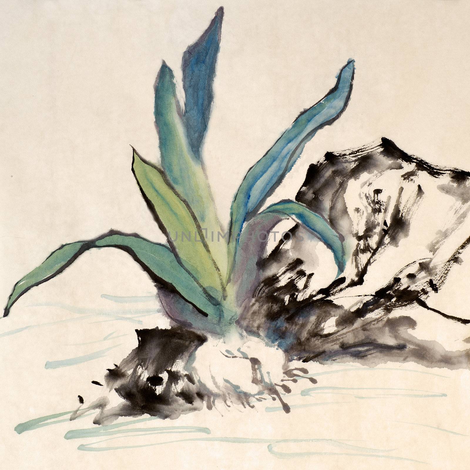 Chinese painting of garlic on art paper.