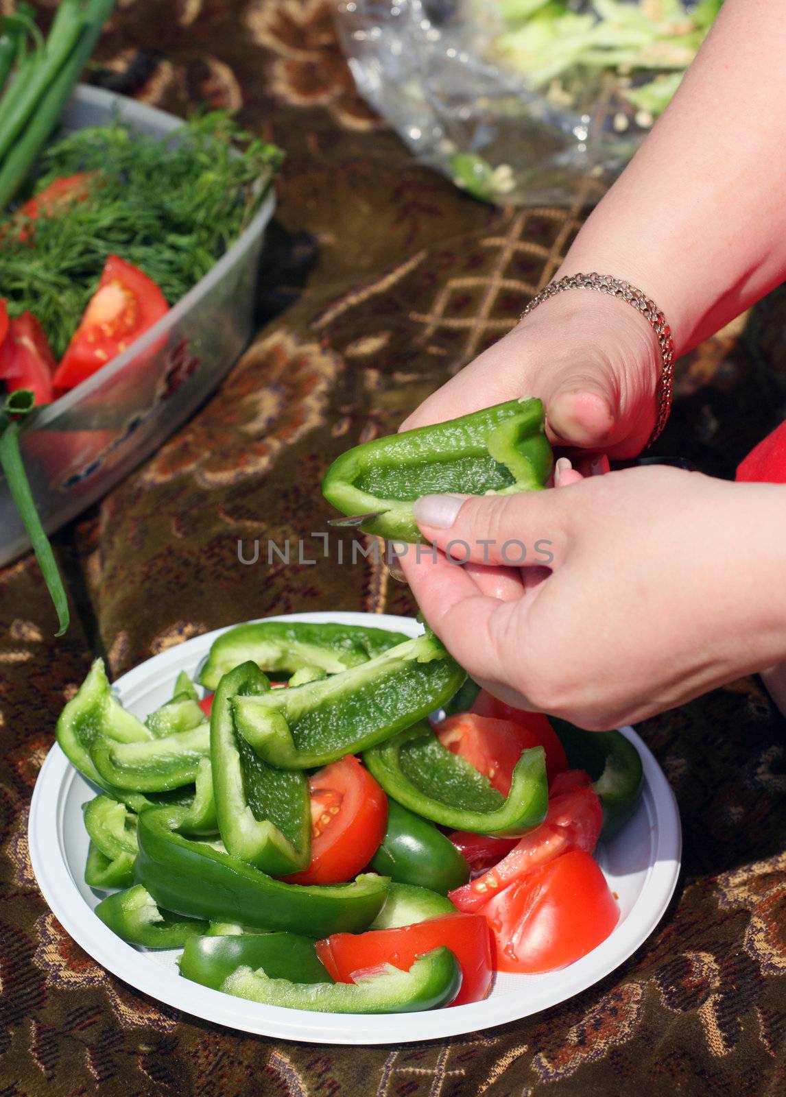 pepper, vegetable, hand, tomato, knife, plate, picnic, fennel, meal, food, vitamins 