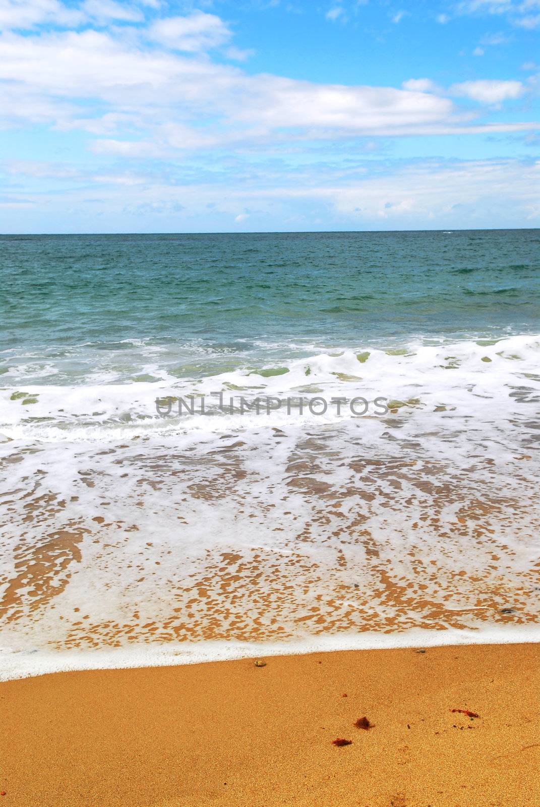 Ocean wave advancing on a yellow sandy beach