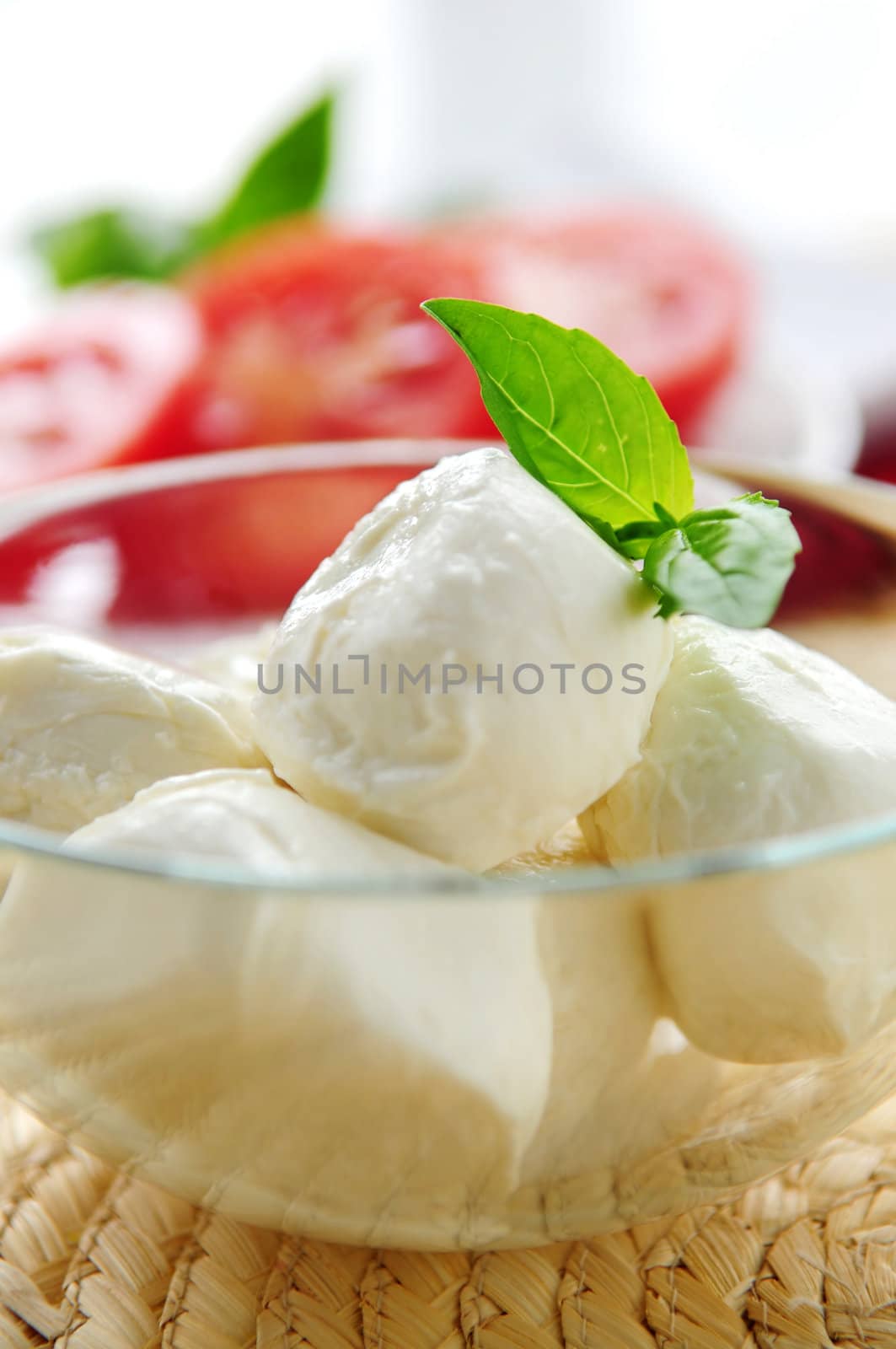 Bocconcini cheese, basil and sliced tomatoes - ingredients of traditional italian cuisine