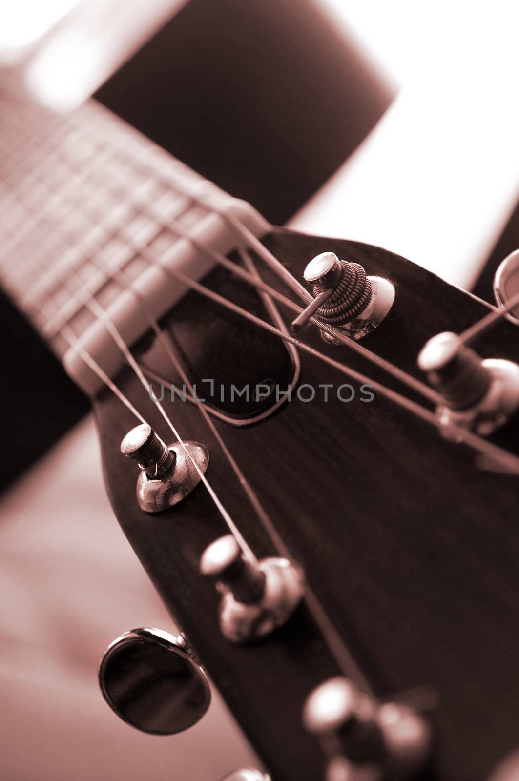 Guitar close up by elenathewise