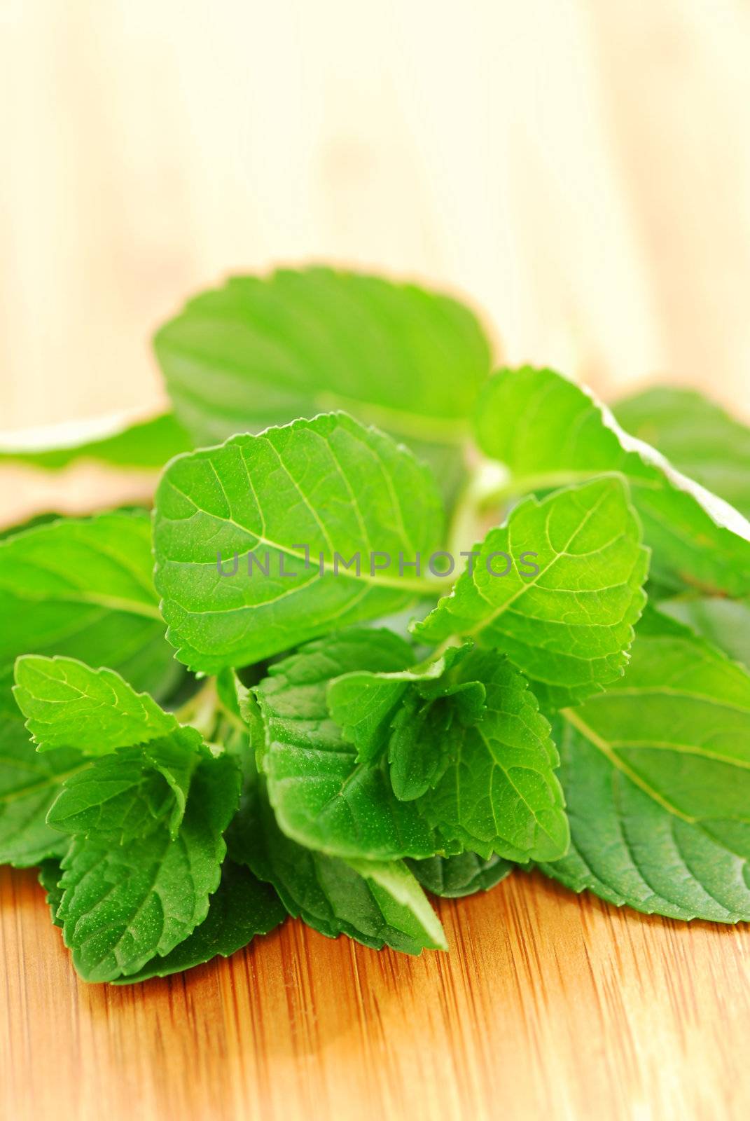 Sprigs of fresh green mint on a cutting board, macro