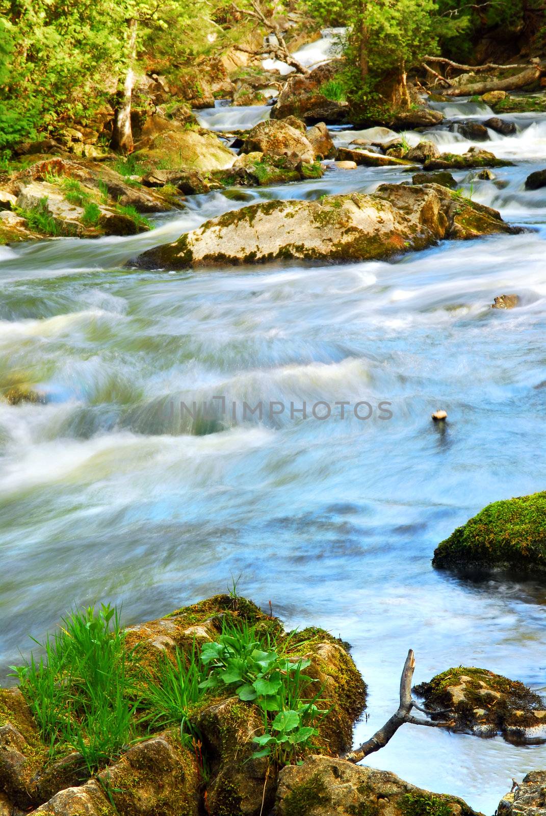 Water rushing among rocks in river rapids in Ontario Canada