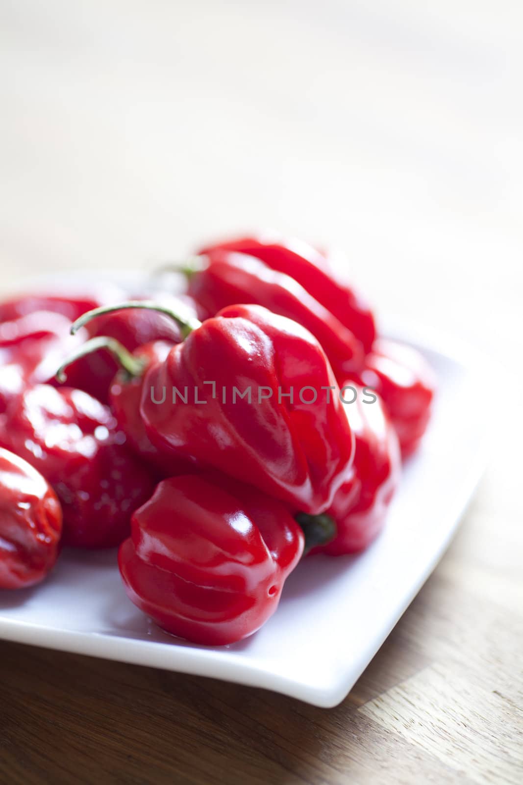 red hot chili peppers on white plate