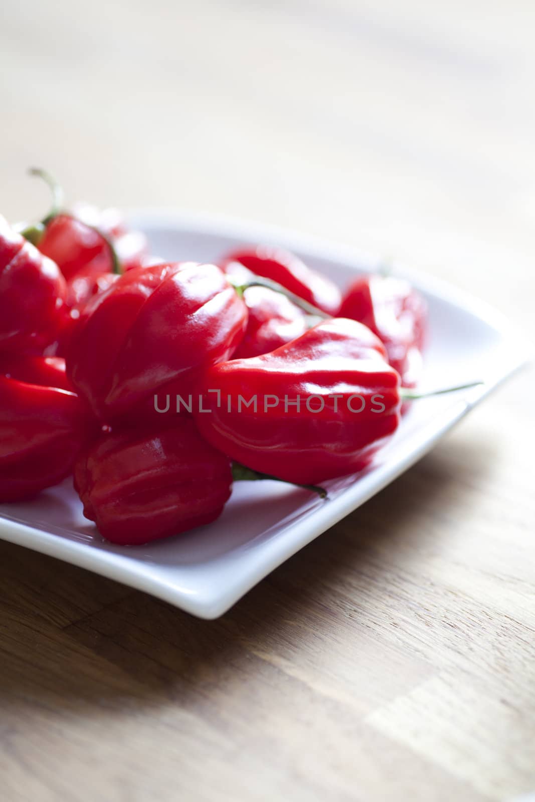 red hot chili peppers by ctacik